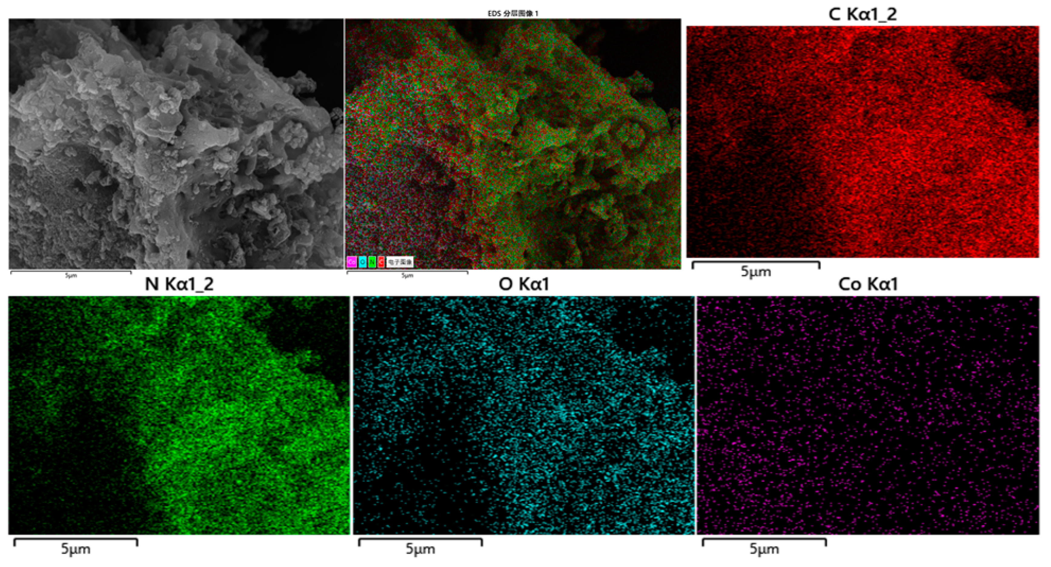 Catalysts 13 00828 g004