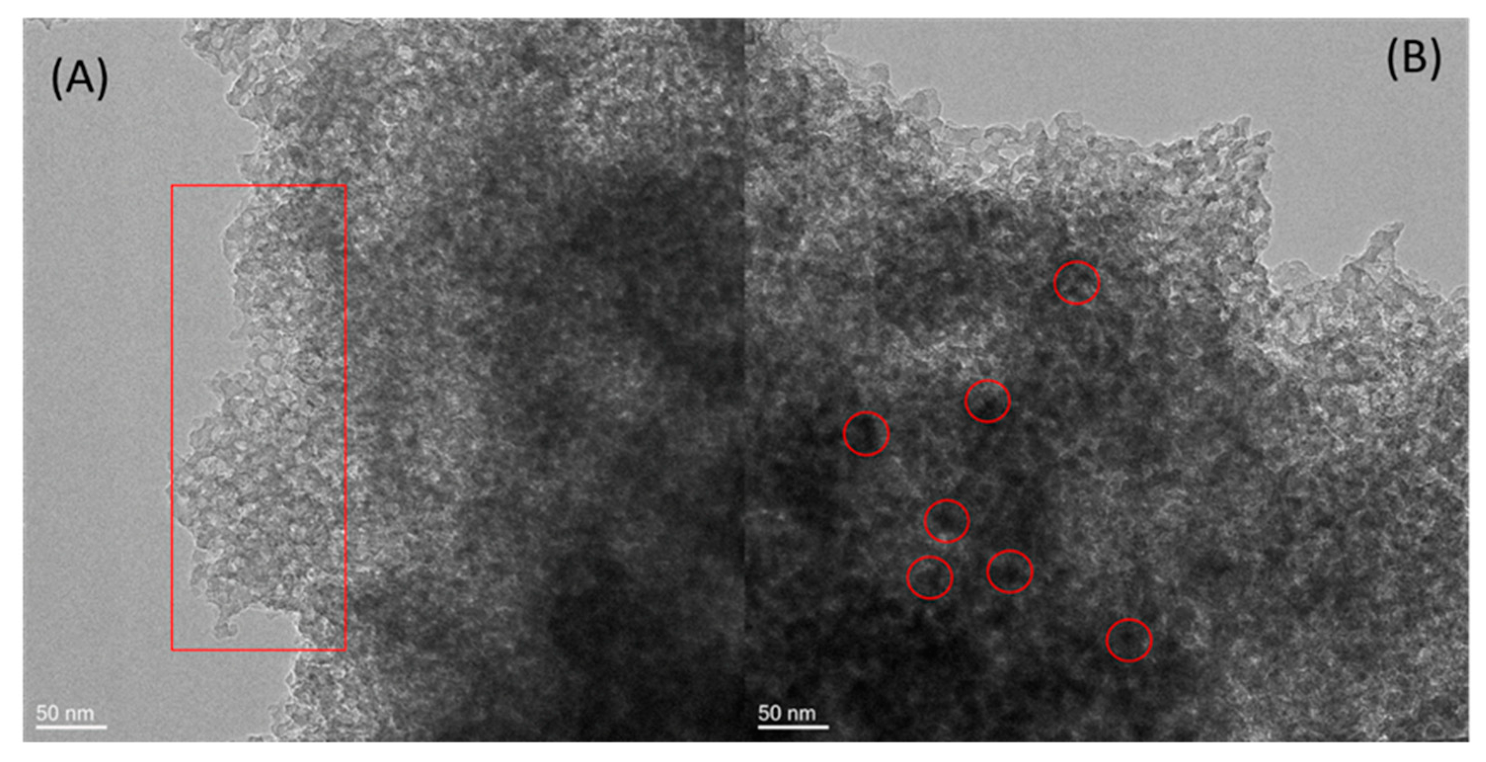 Catalysts 13 00828 g005