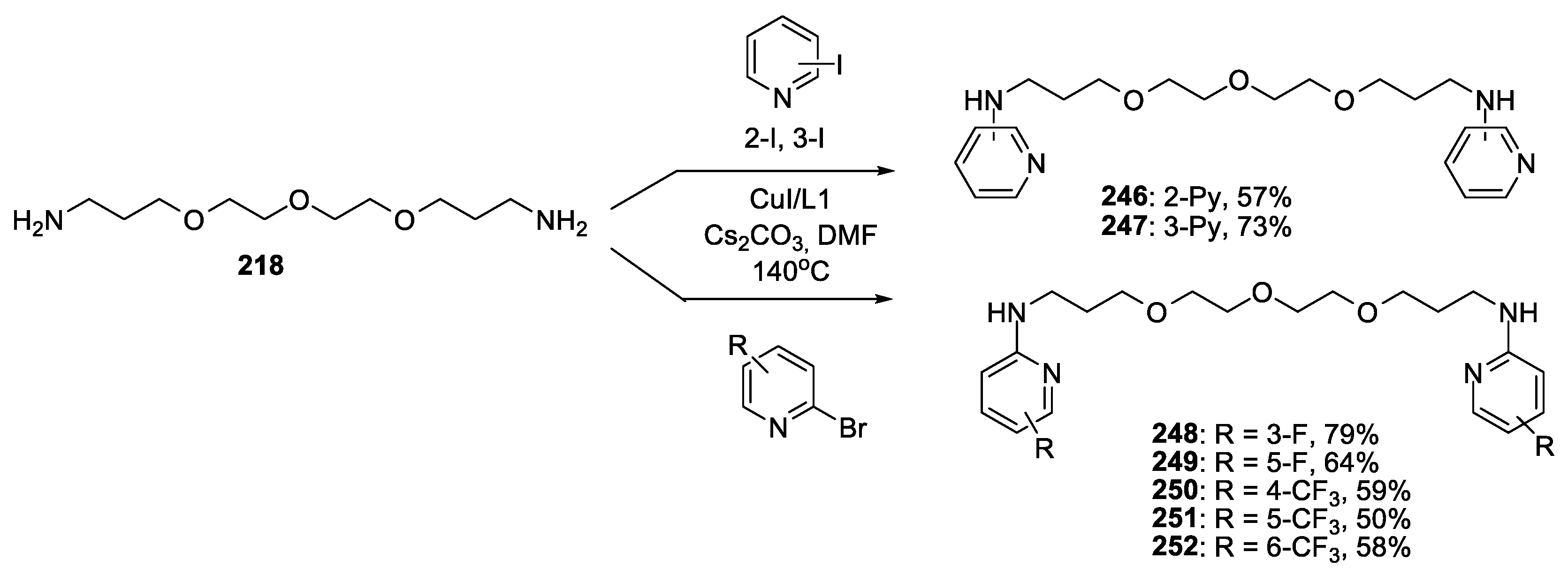 Catalysts 13 00831 sch021