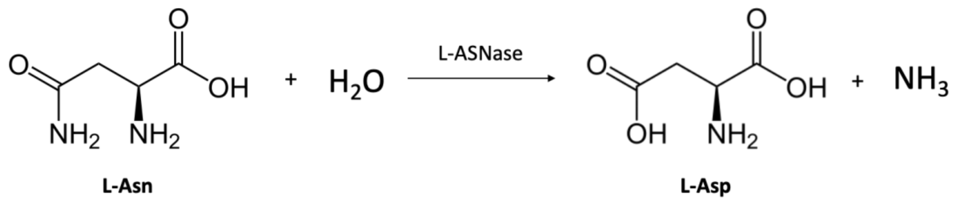 Catalysts 13 00832 g001
