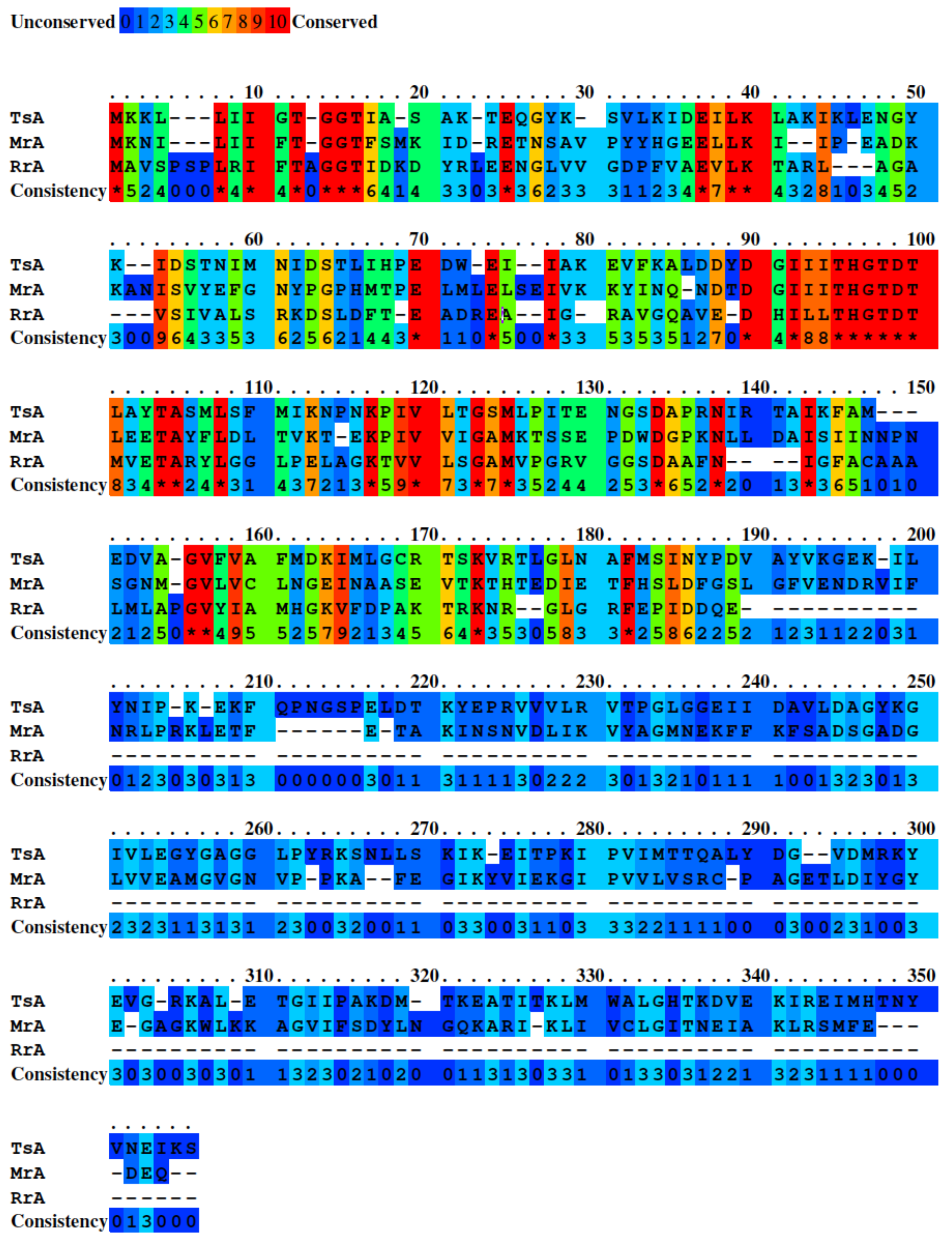 Catalysts 13 00832 g002