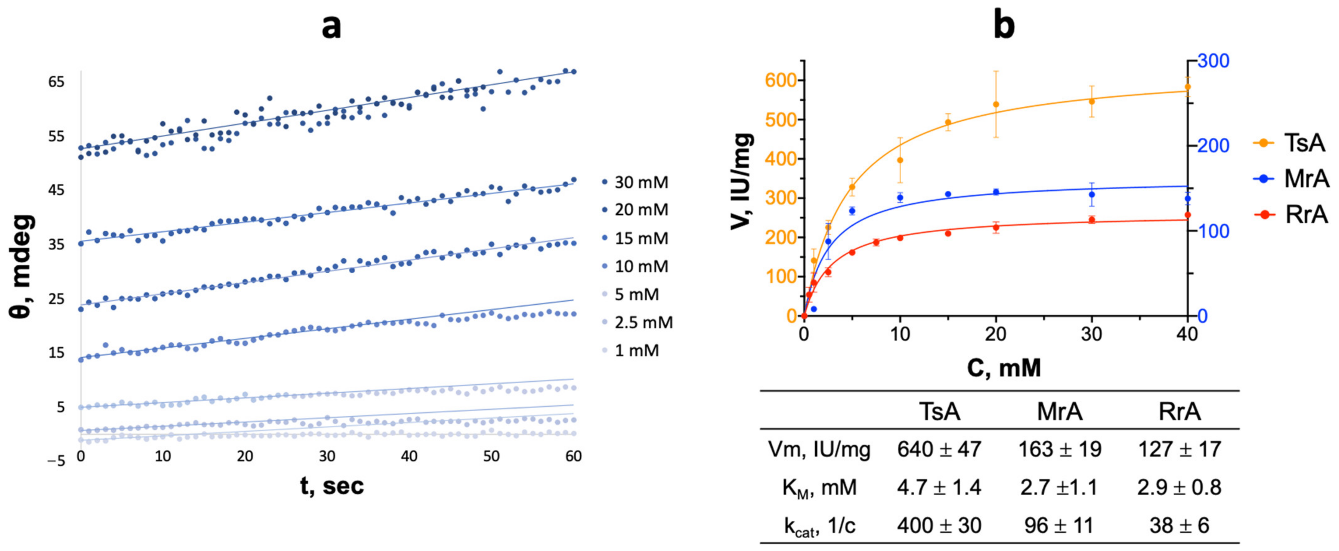 Catalysts 13 00832 g004