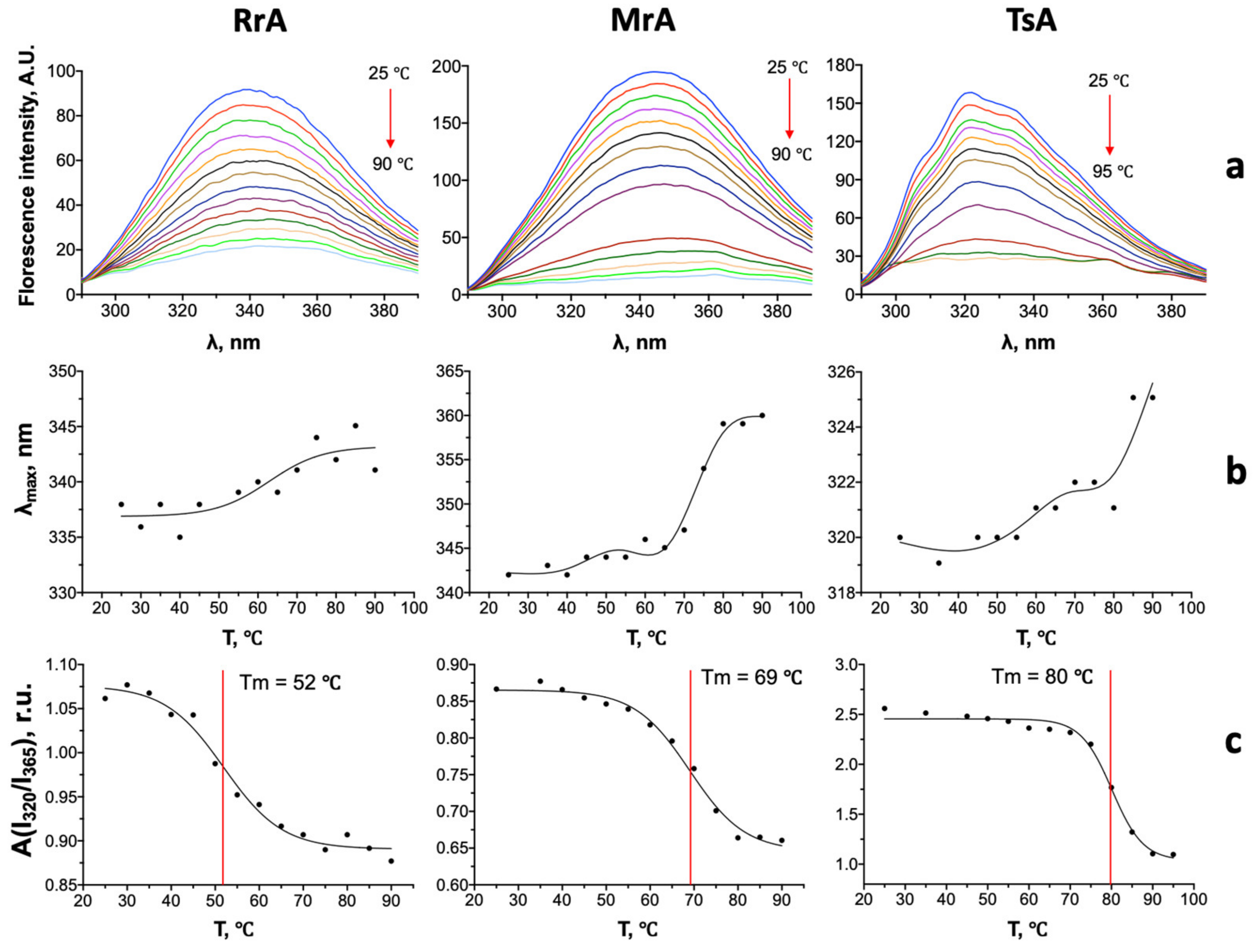 Catalysts 13 00832 g009