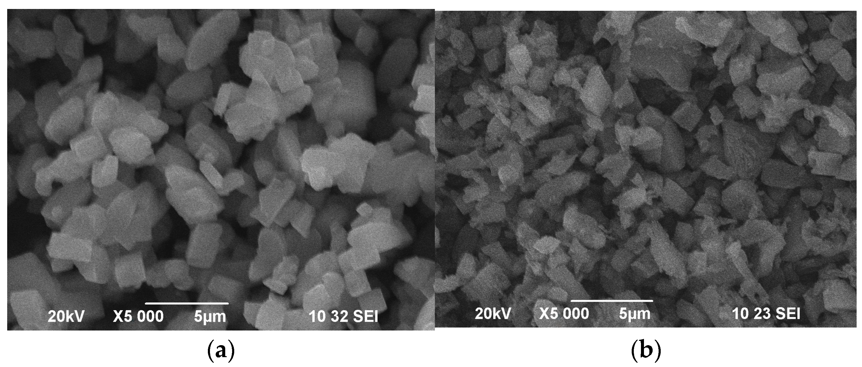 Catalysts 13 00834 g006a