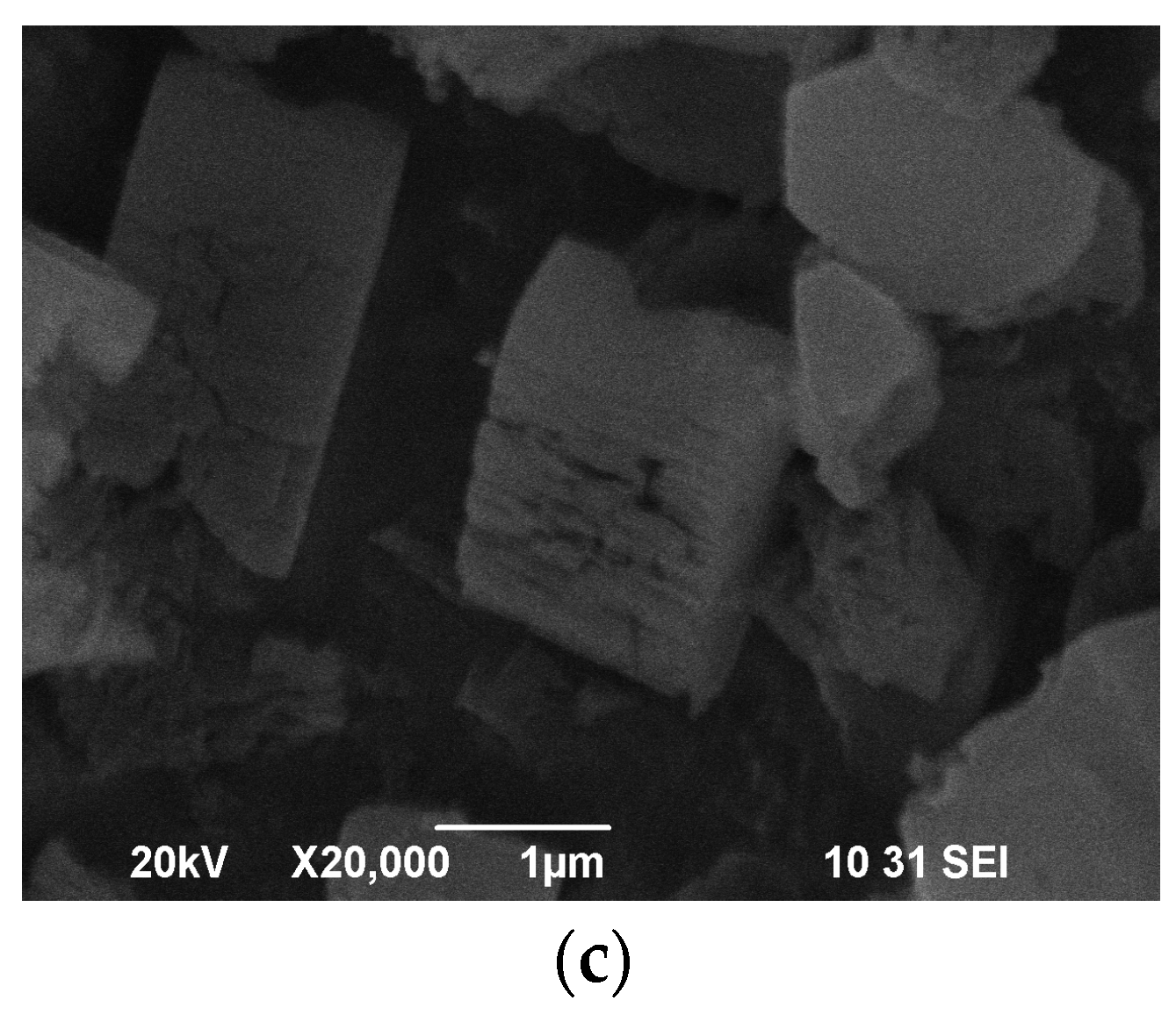 Catalysts 13 00834 g006b