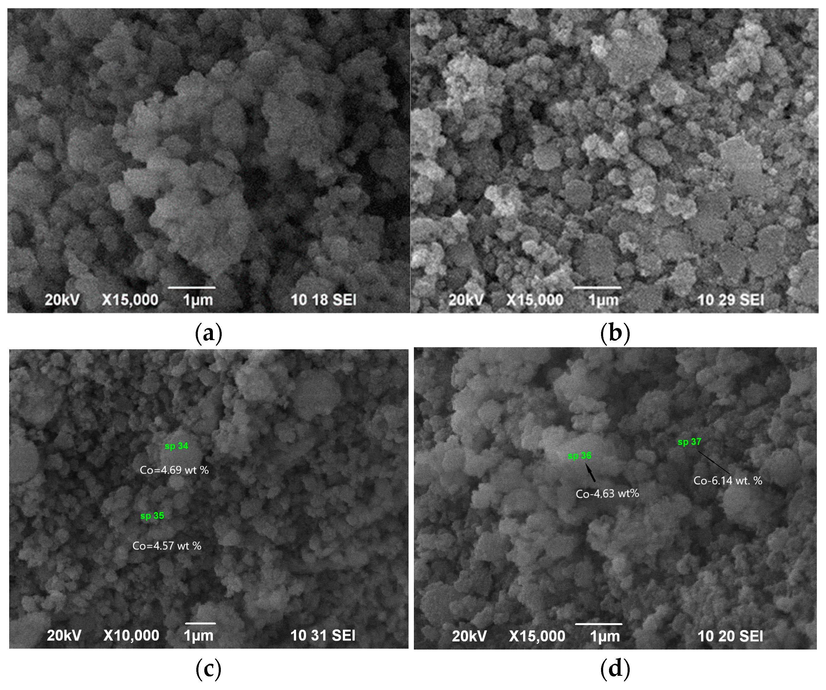 Catalysts 13 00834 g007