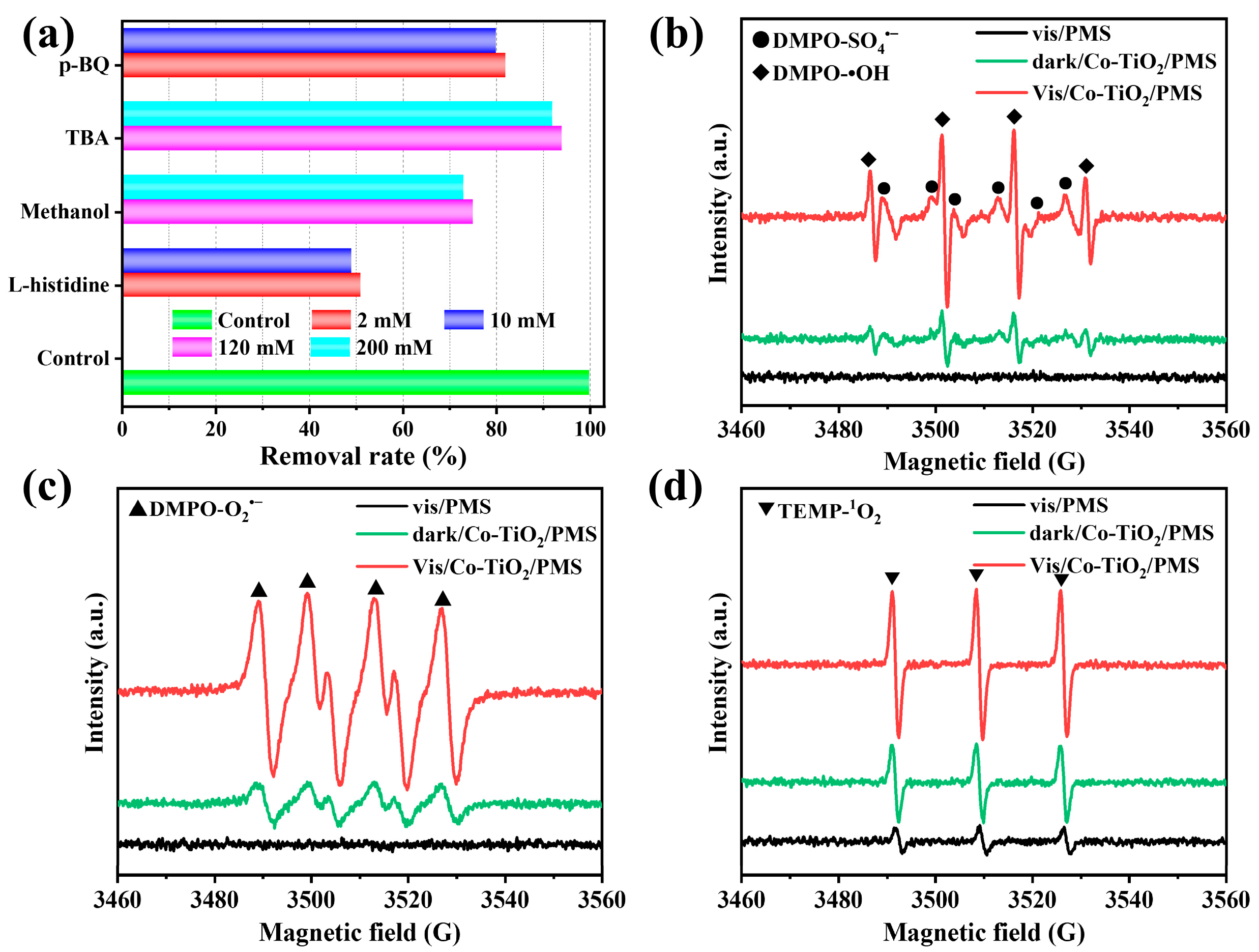 Catalysts 13 00836 g007
