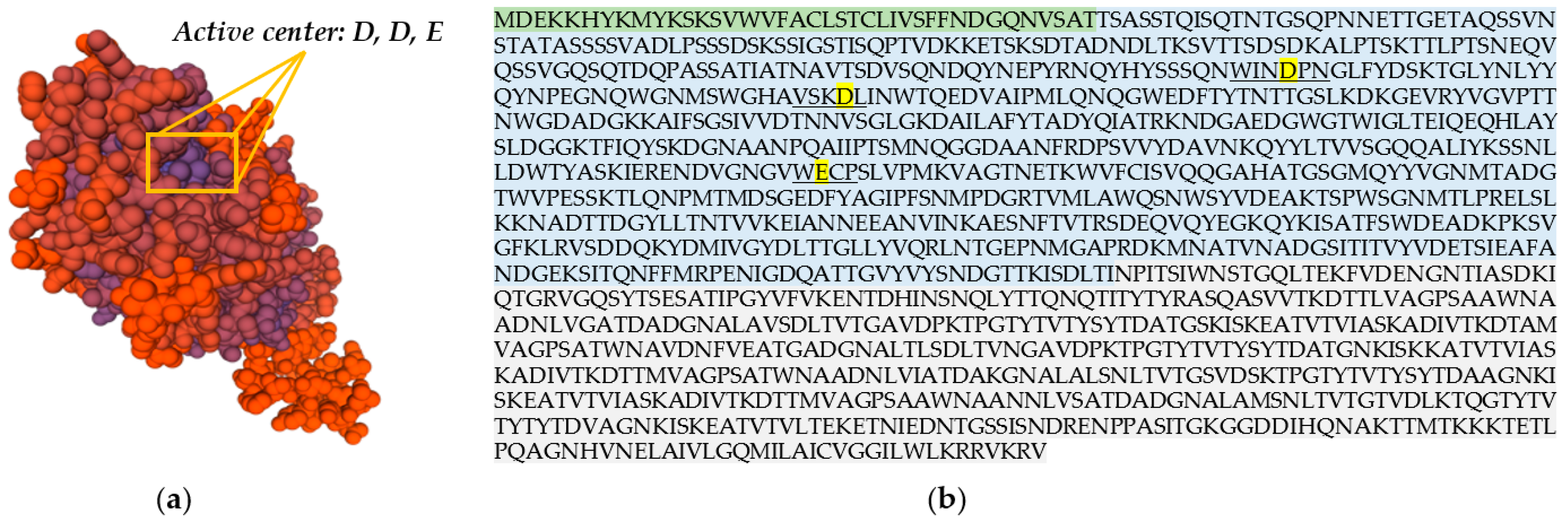 Catalysts 13 00841 g001