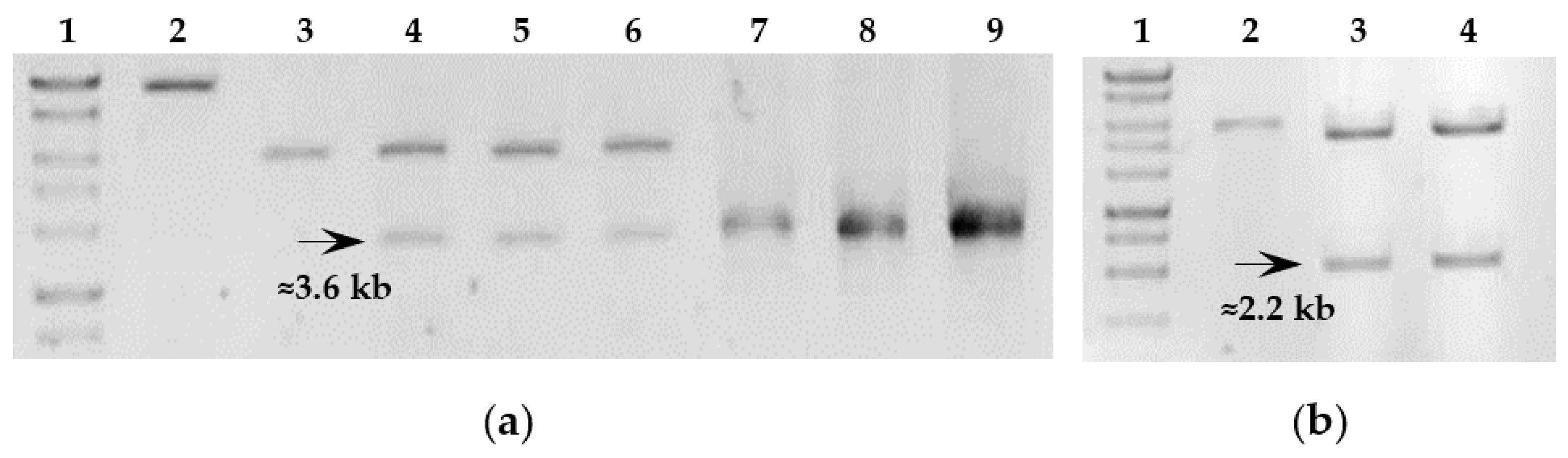 Catalysts 13 00841 g003