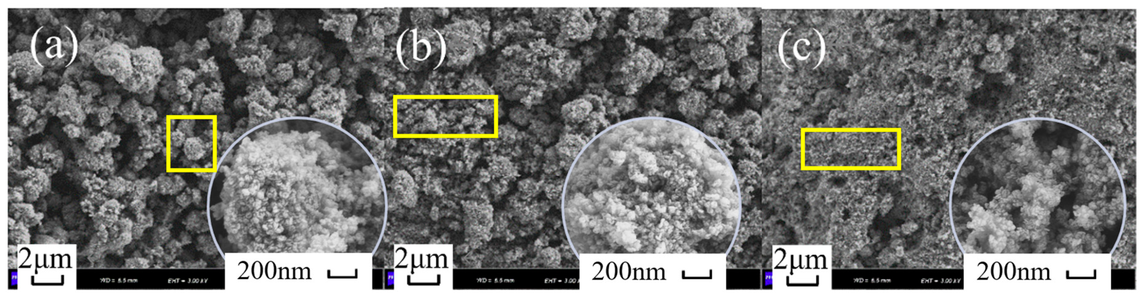 Catalysts 13 00844 g003