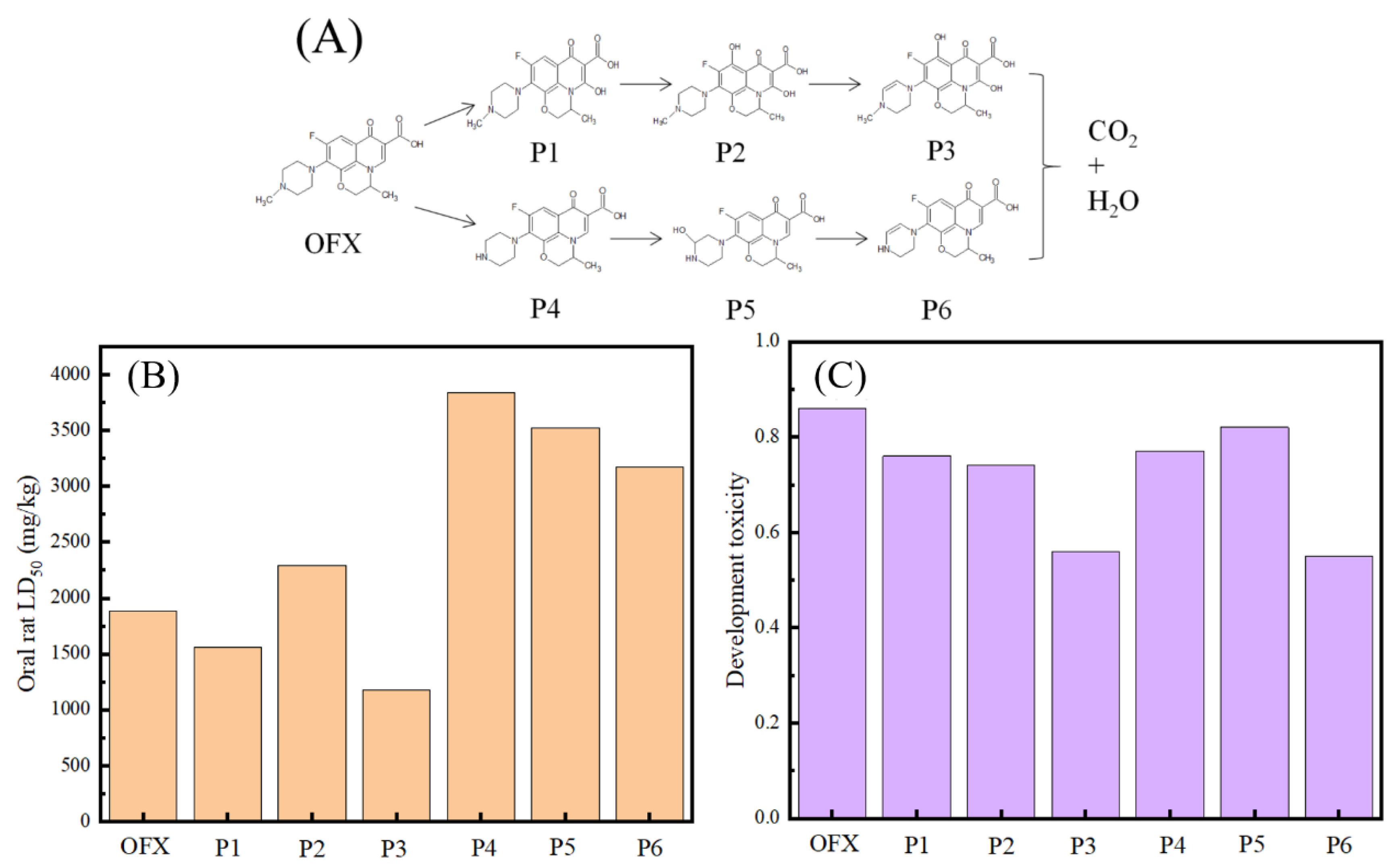 Catalysts 13 00847 g010