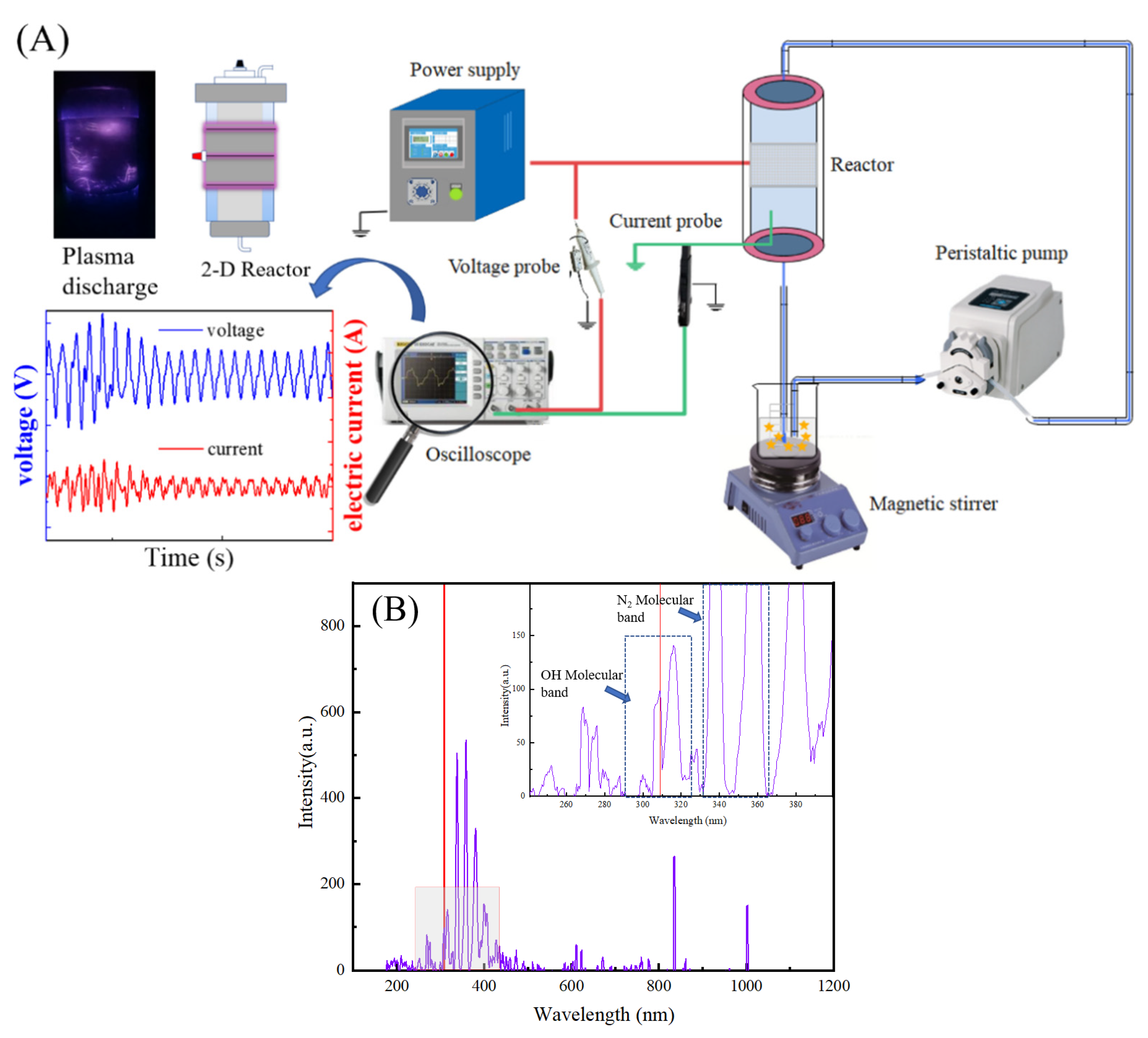 Catalysts 13 00847 g011