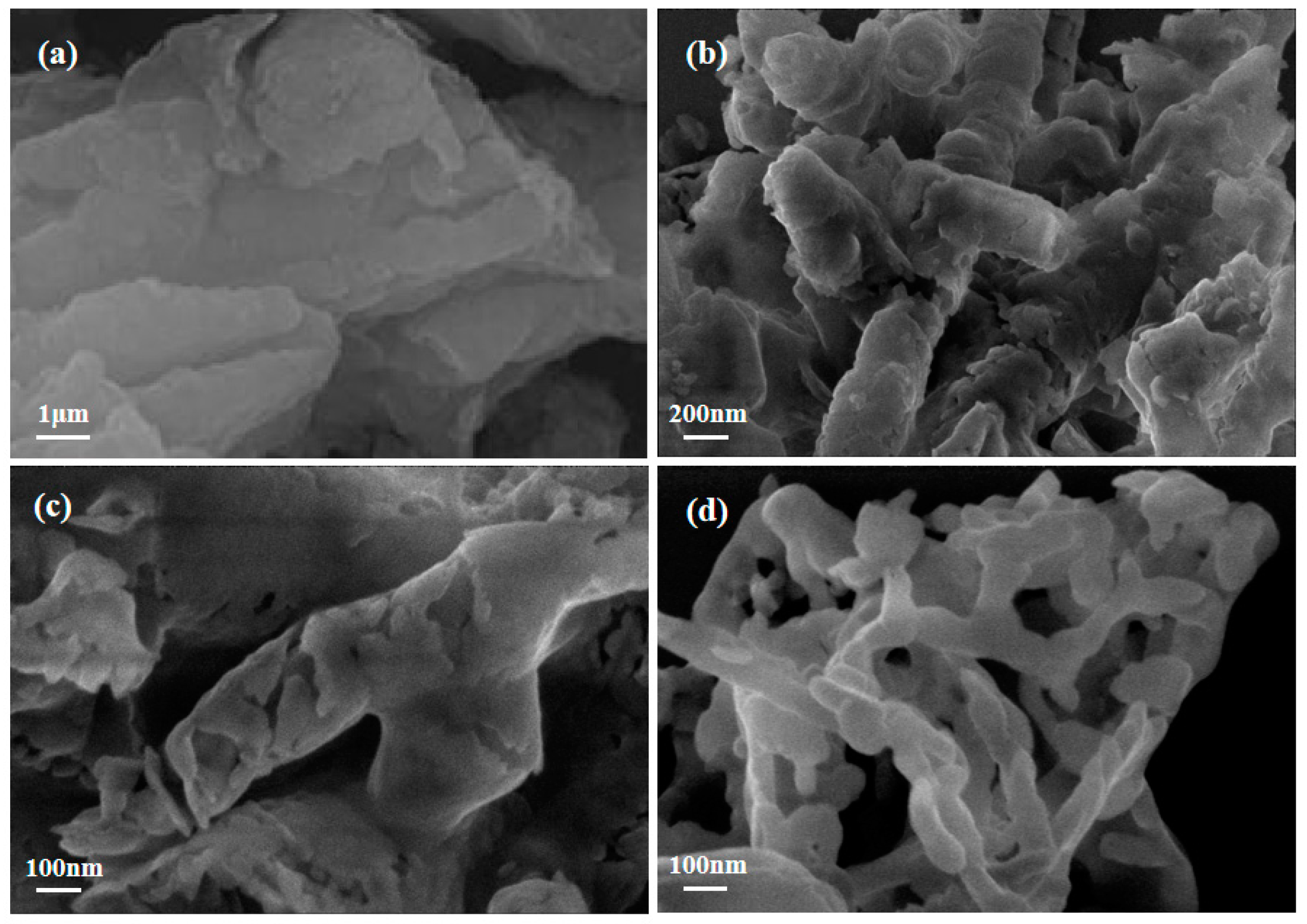 Catalysts 13 00848 g003
