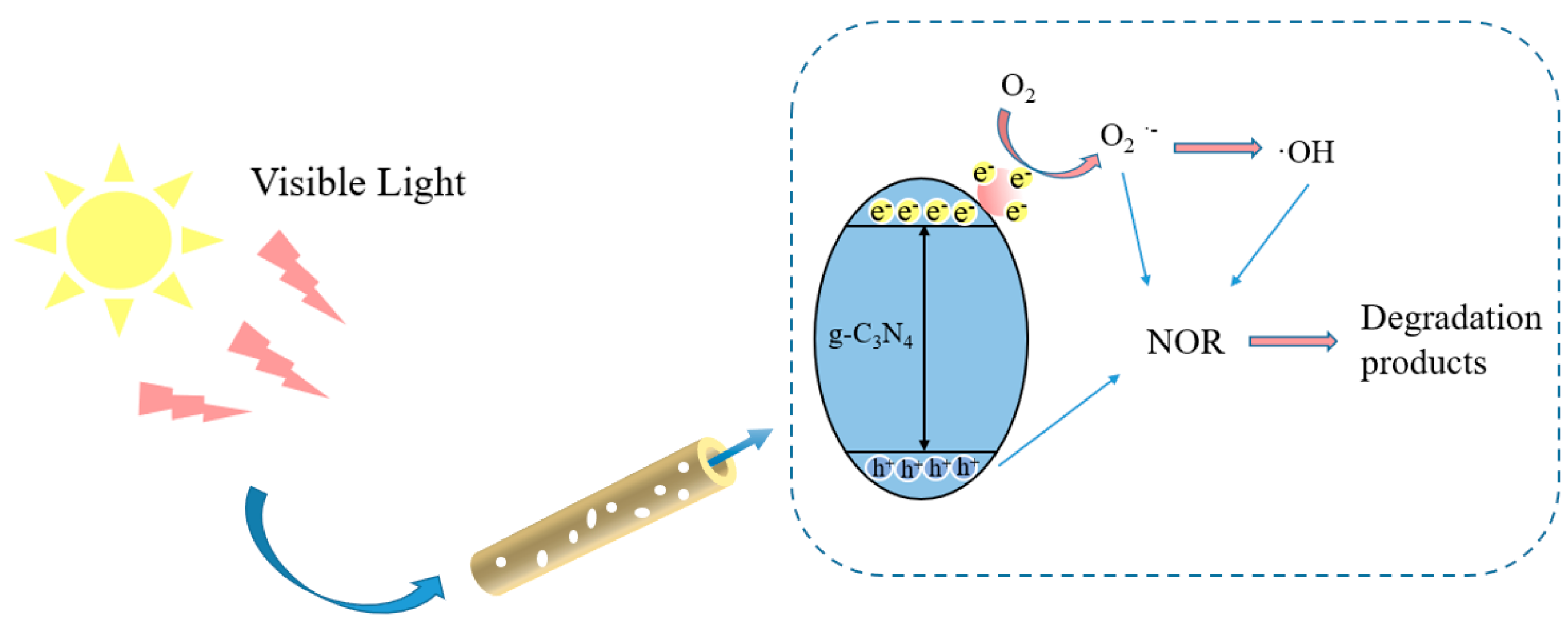 Catalysts 13 00848 sch002