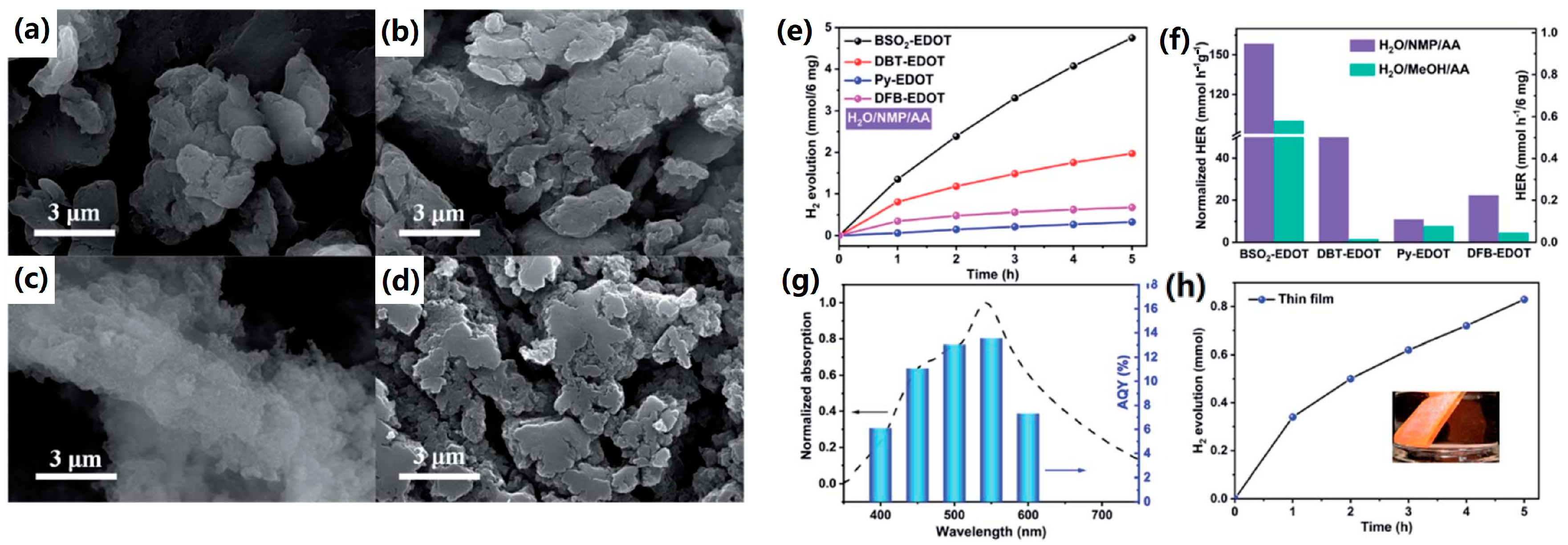 Catalysts 13 00850 g012
