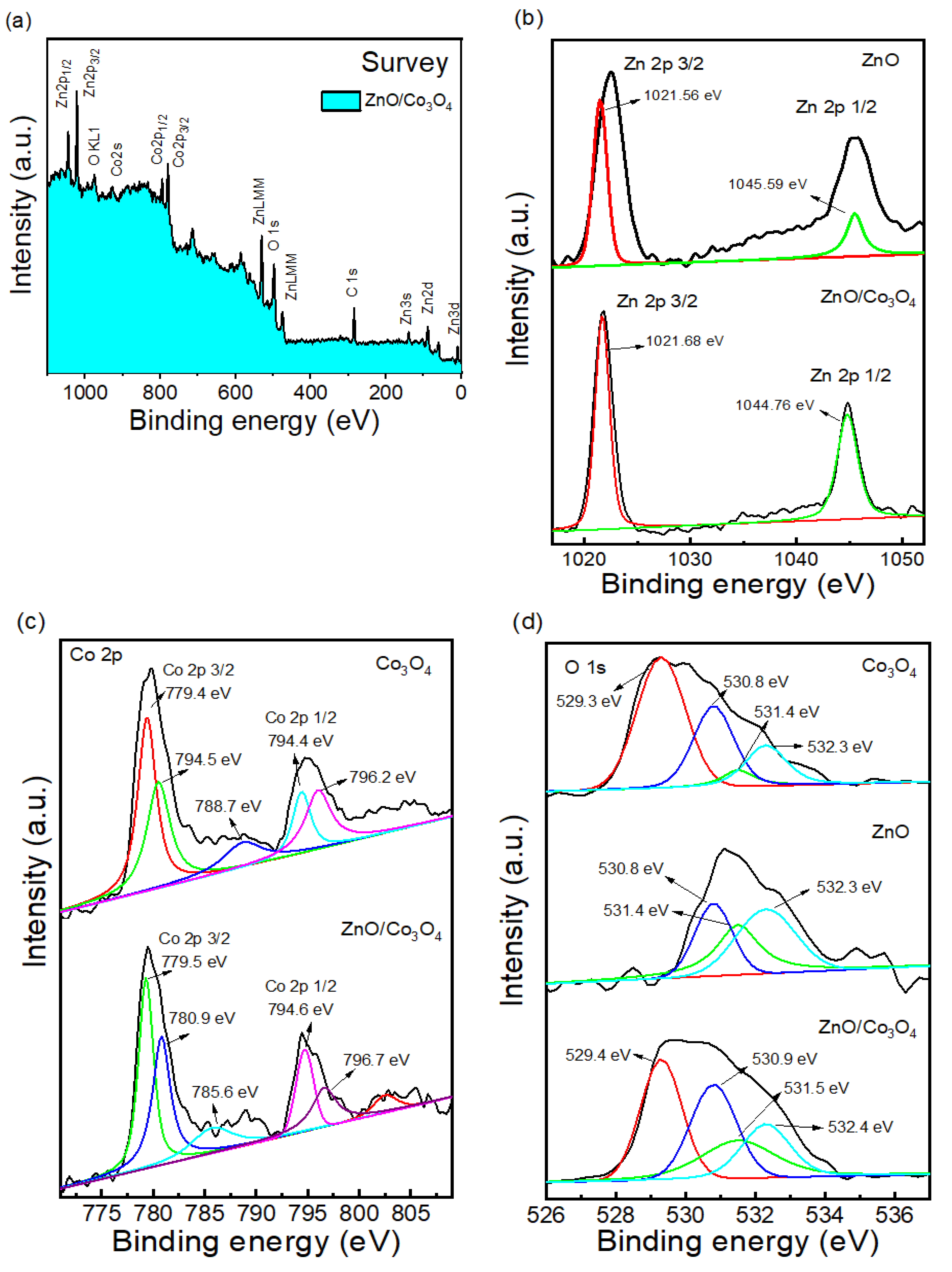 Catalysts 13 00852 g003 Catalysts 13 00852 g003