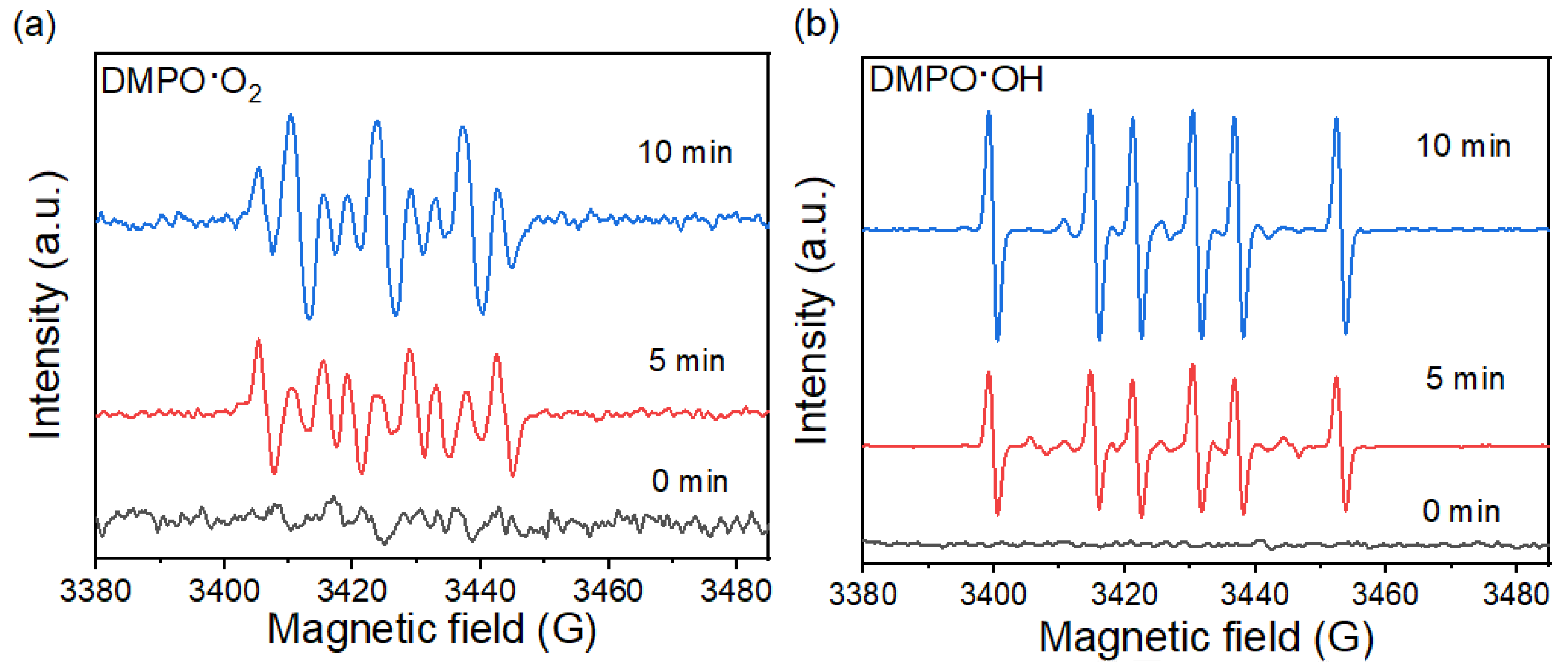 Catalysts 13 00852 g005 Catalysts 13 00852 g005