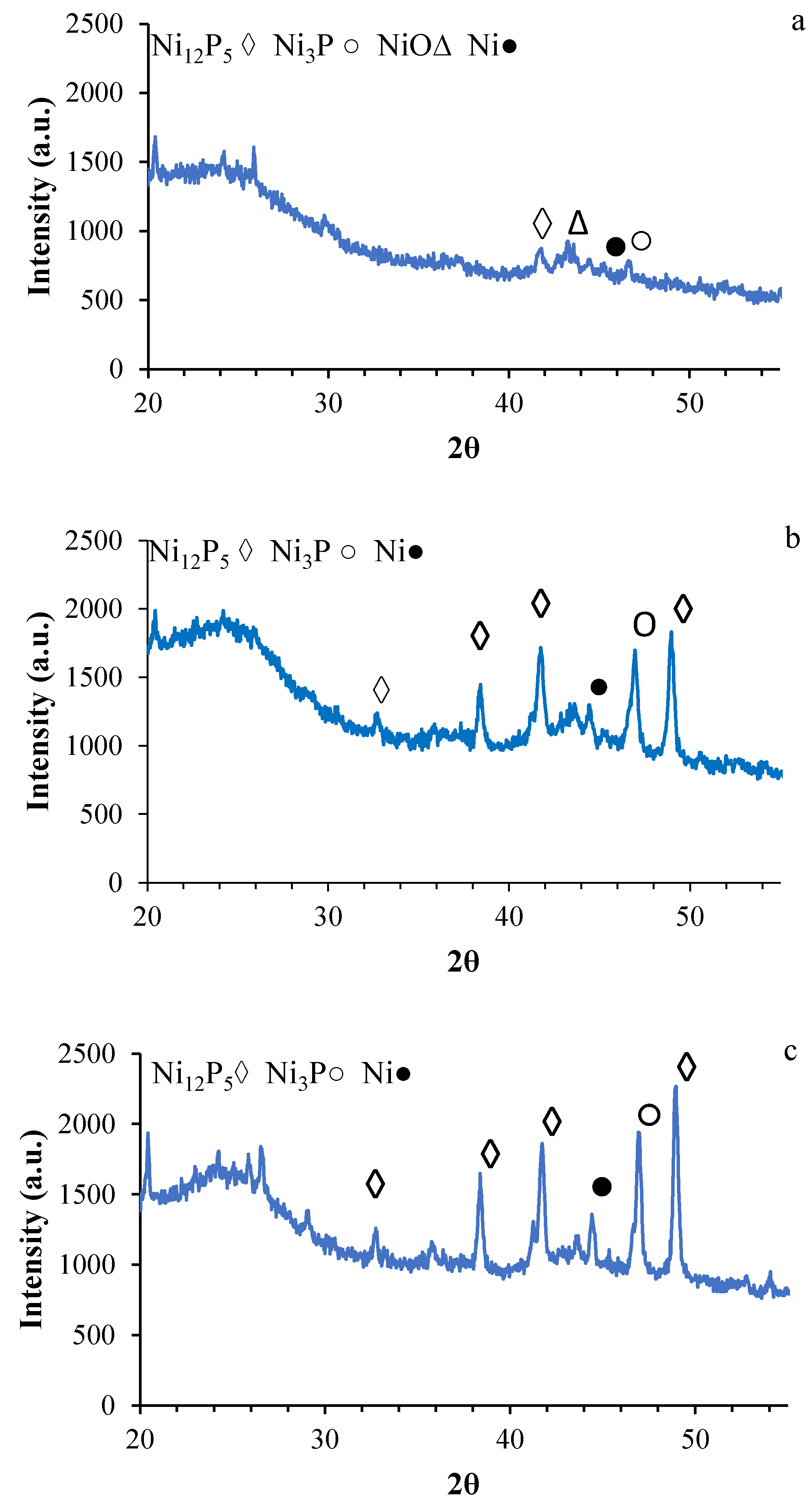 Catalysts 13 00854 g003