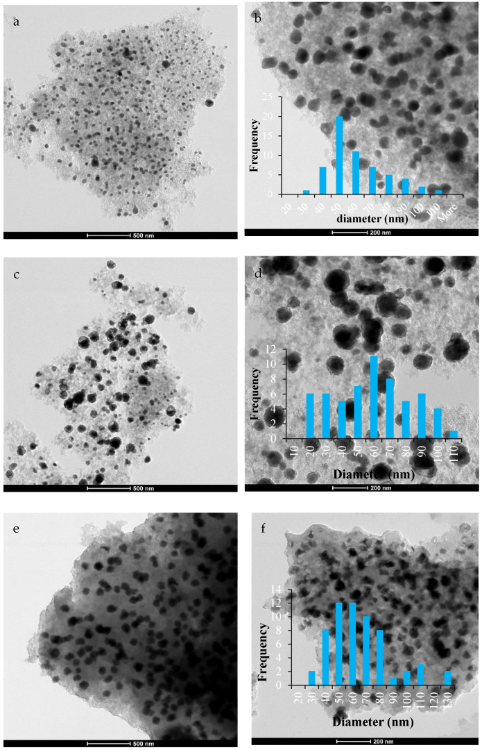 Catalysts 13 00854 g007