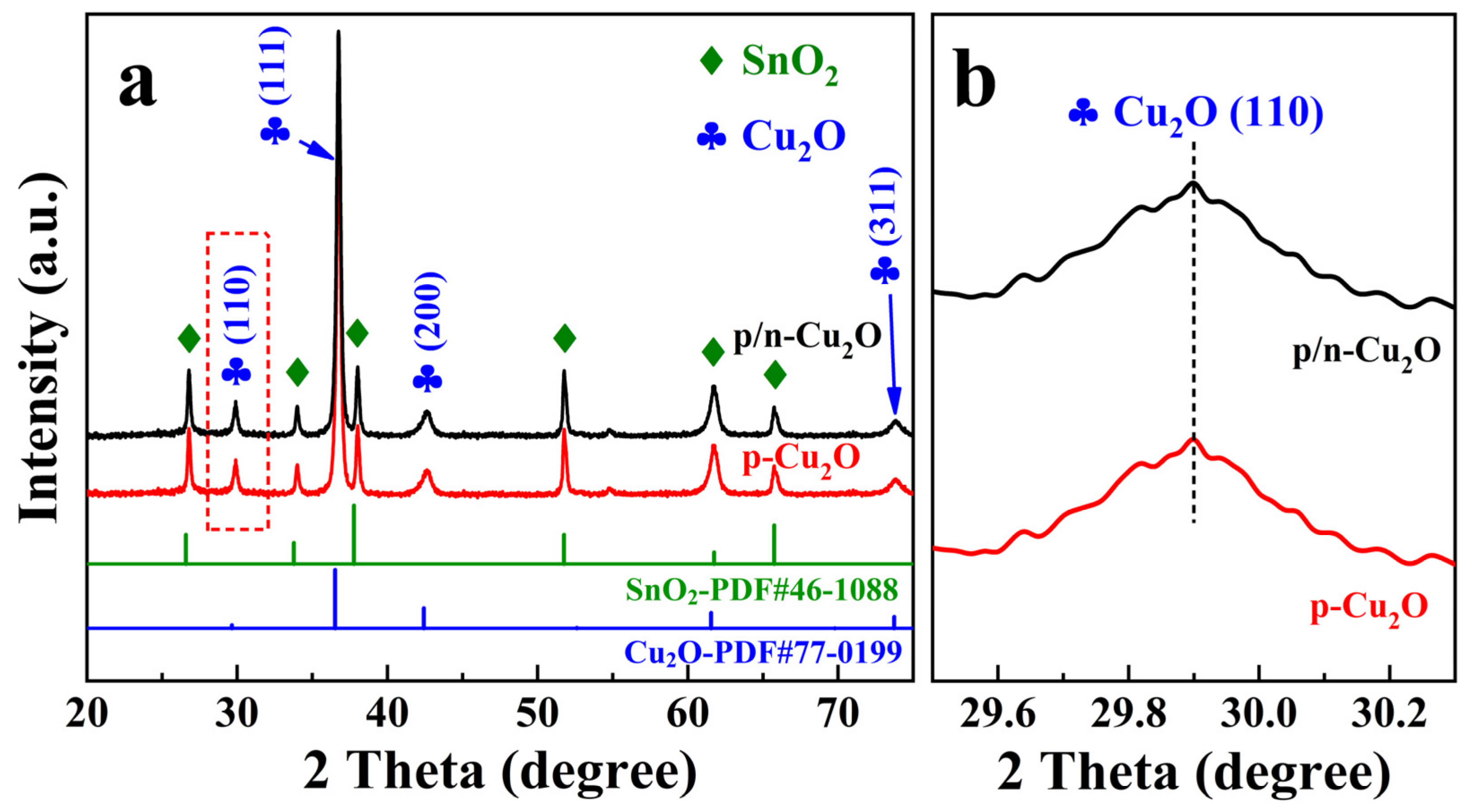 Catalysts 13 00857 g001