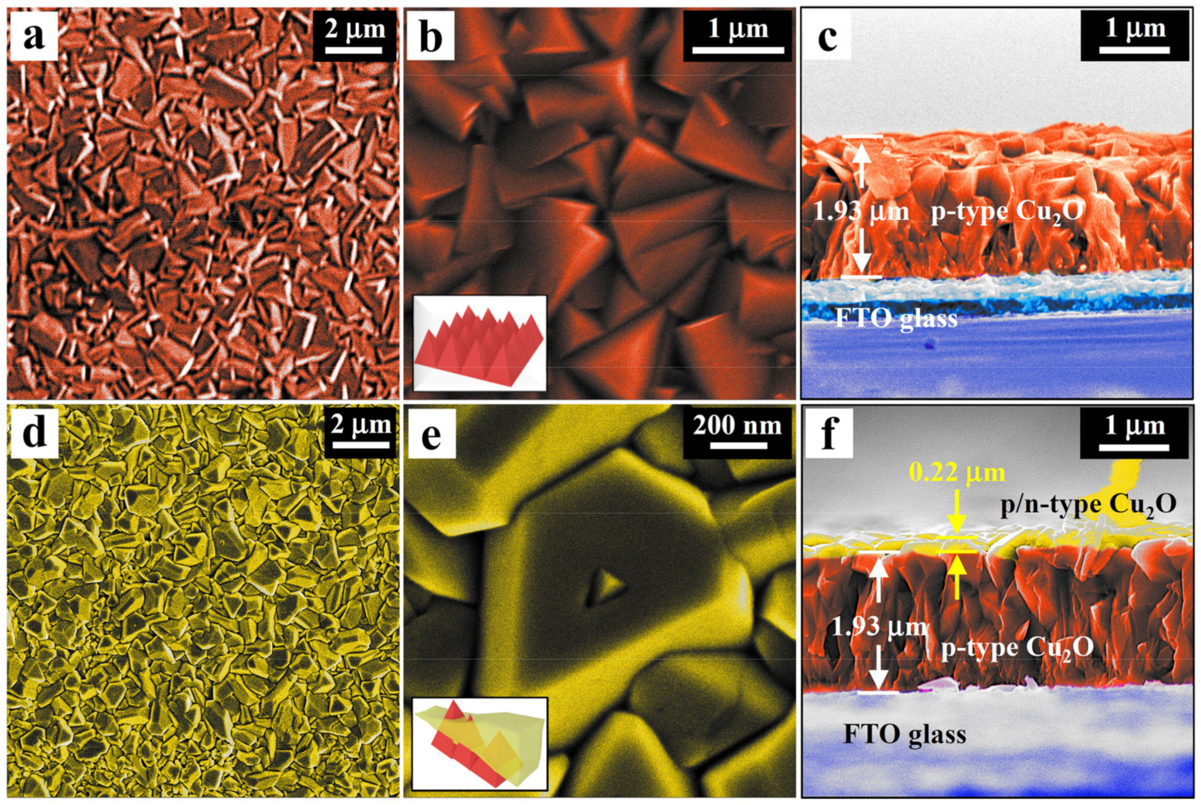 Catalysts 13 00857 g002