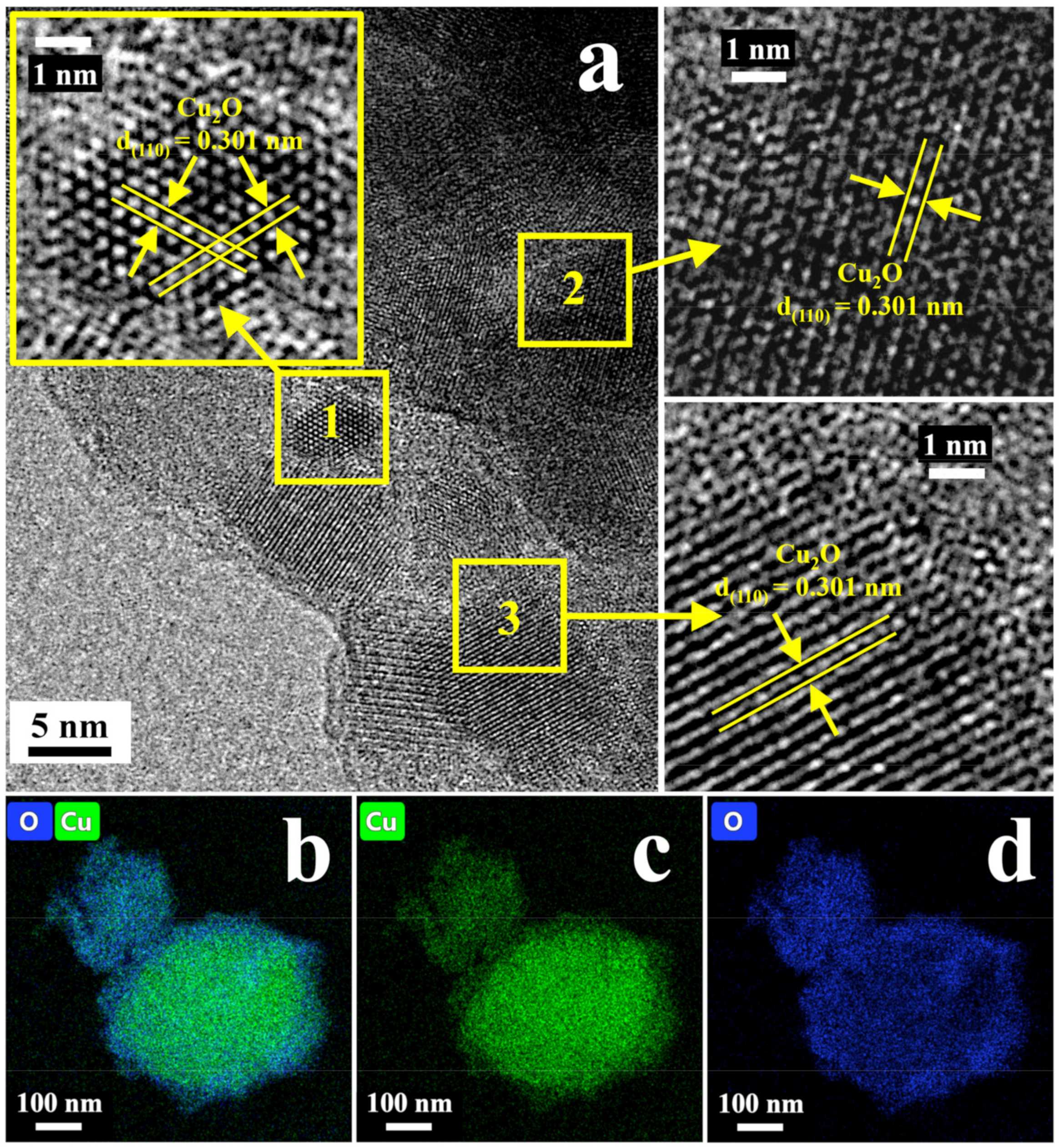 Catalysts 13 00857 g004