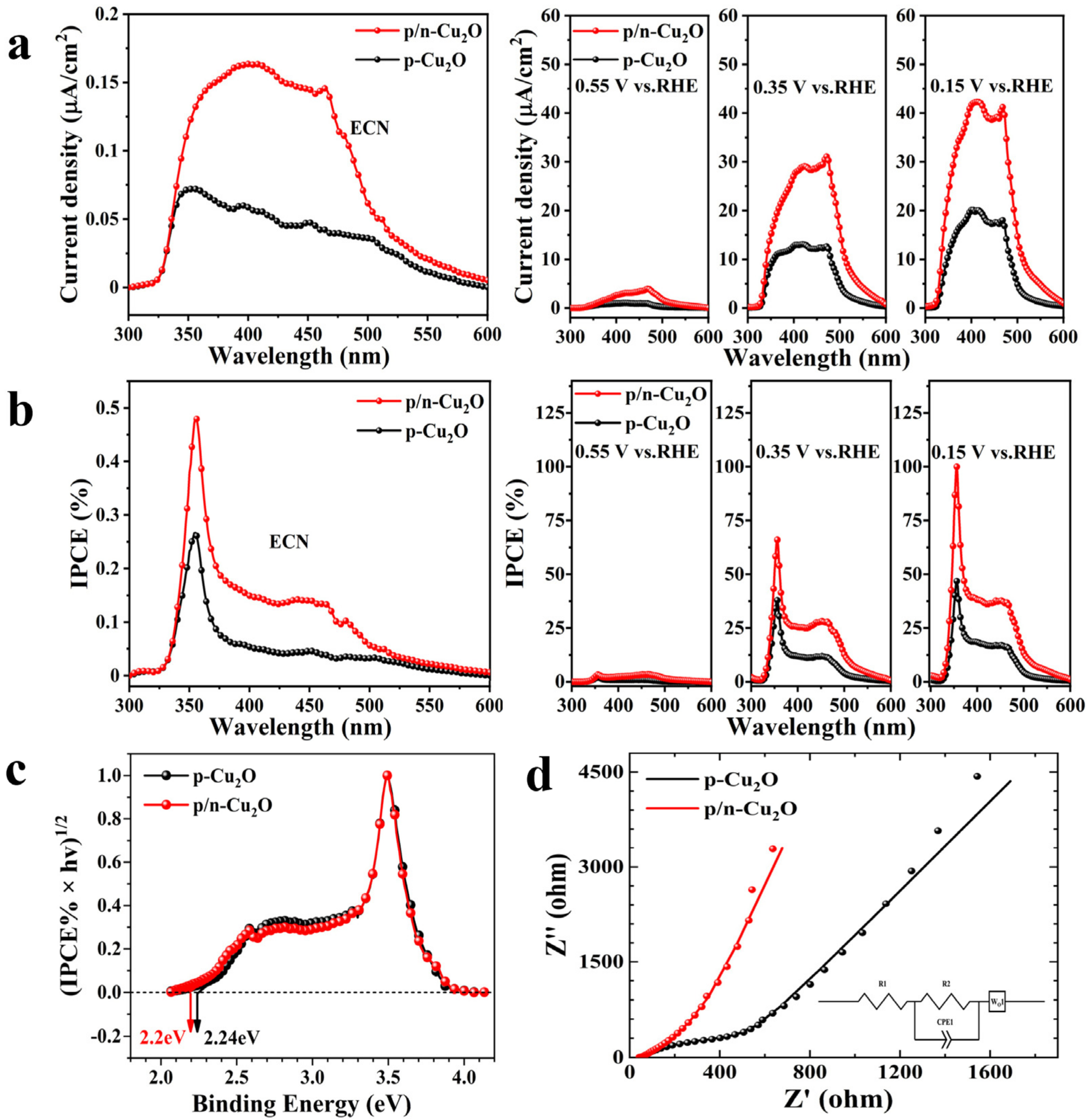 Catalysts 13 00857 g008