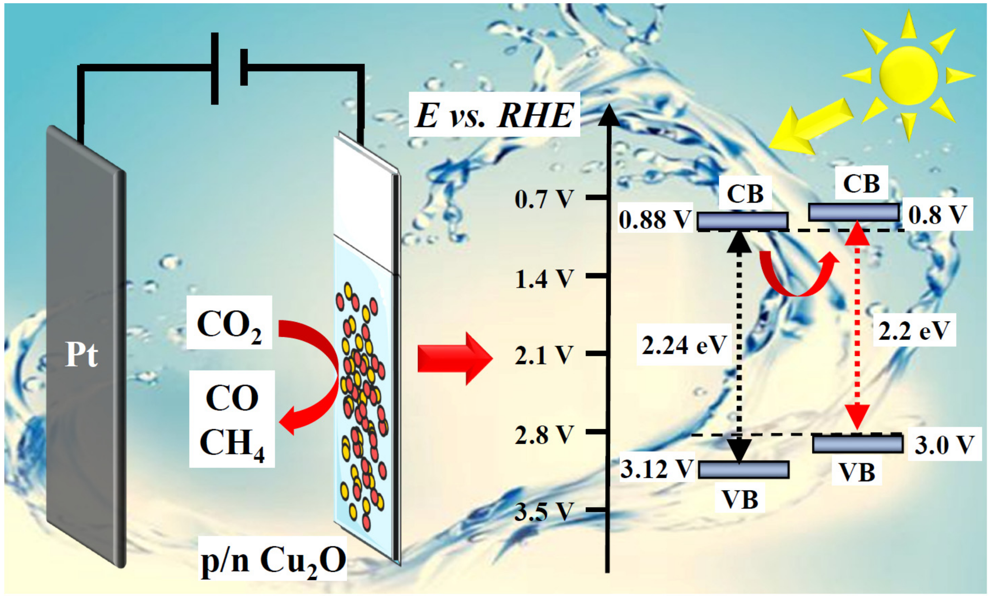 Catalysts 13 00857 g010