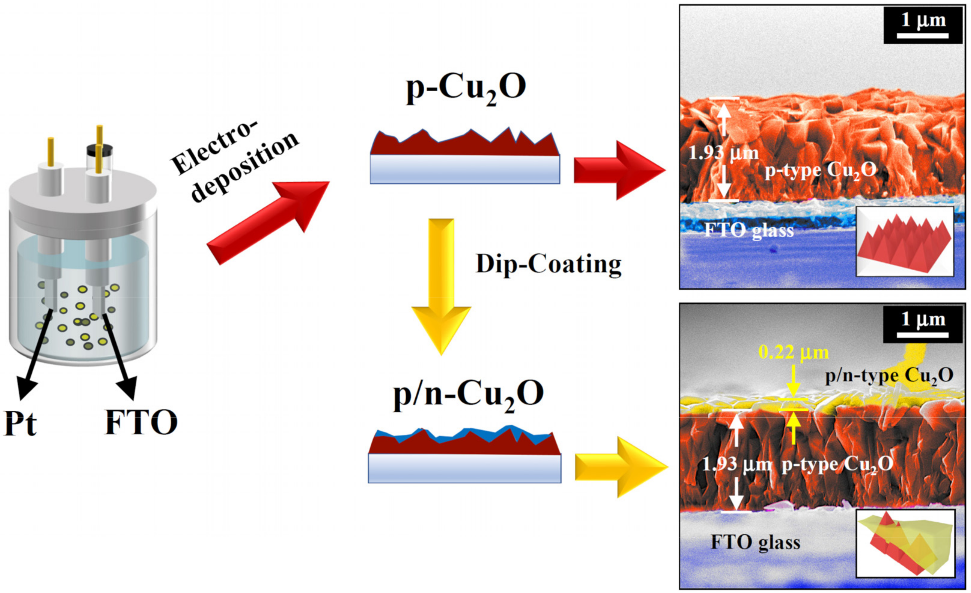 Catalysts 13 00857 g011