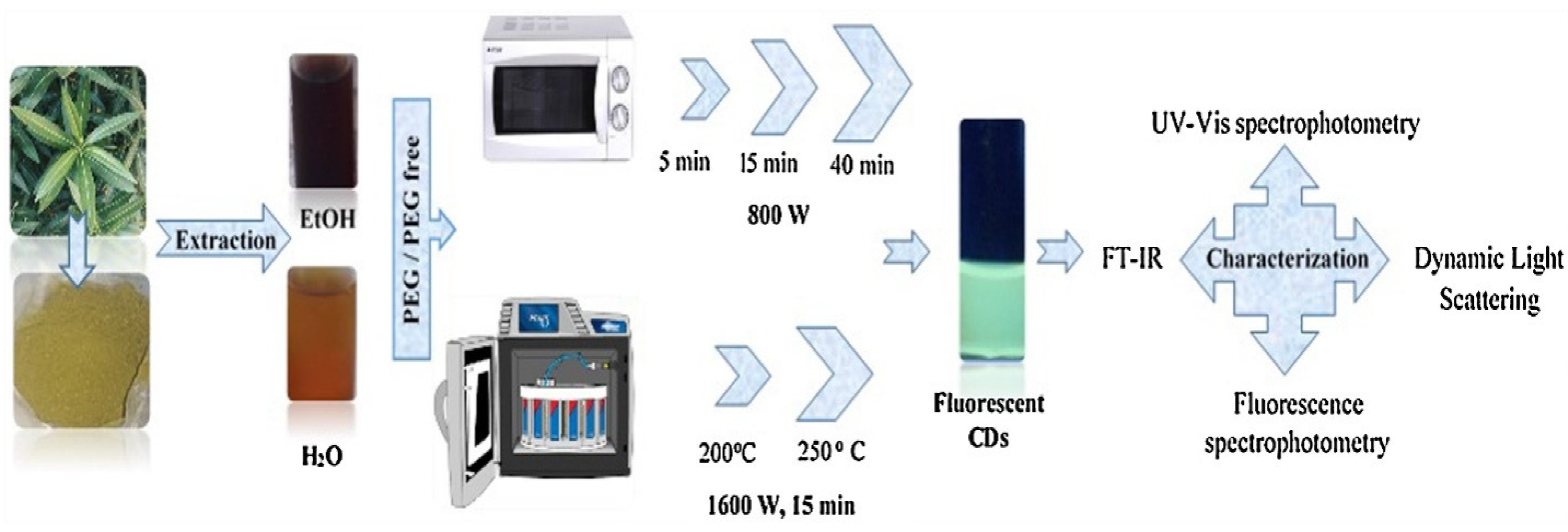Catalysts 13 00858 g006