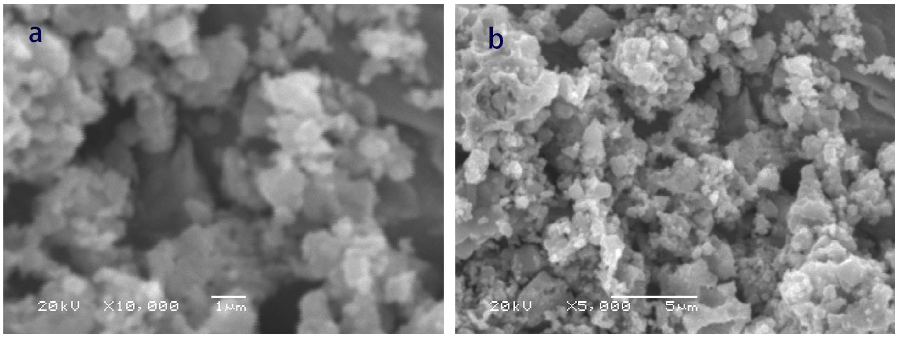 Catalysts 13 00860 g001