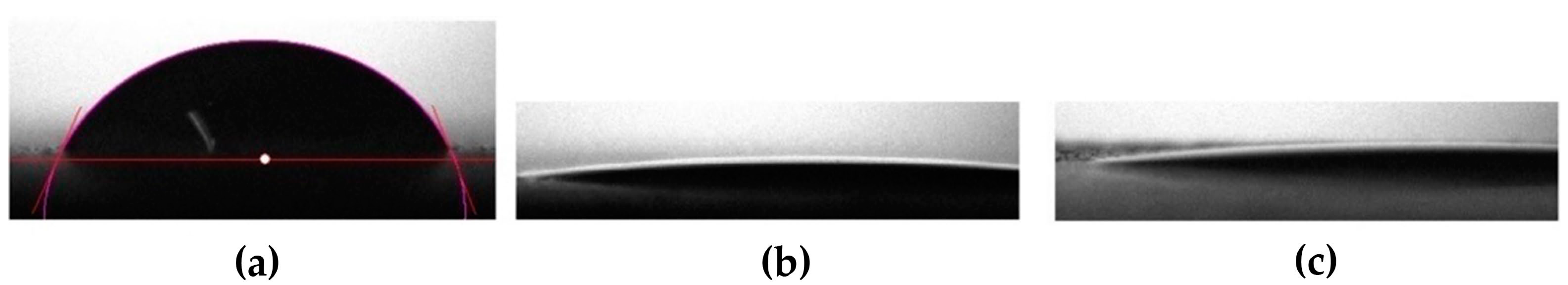 Catalysts 13 00861 g004