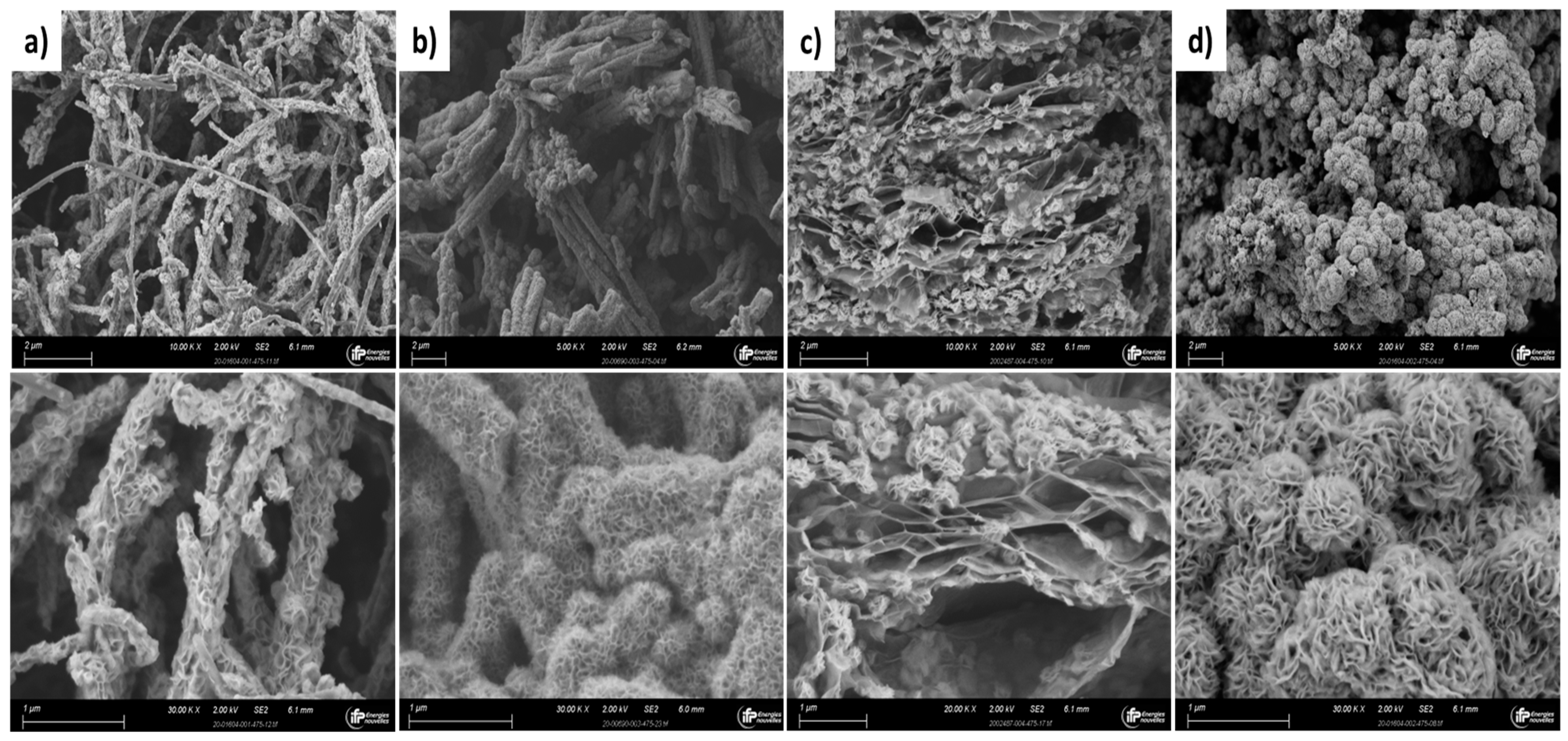 Catalysts 13 00862 g001