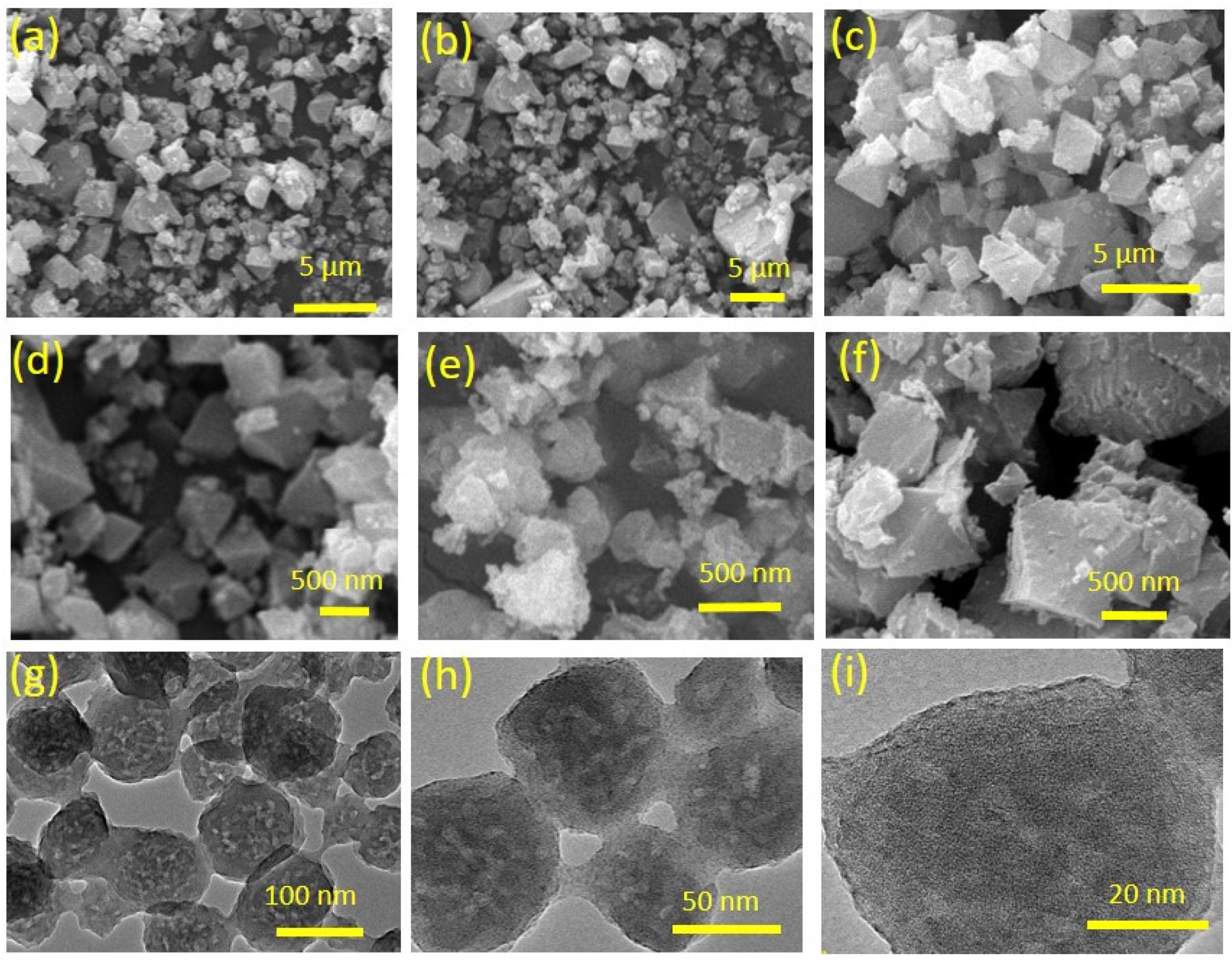 Catalysts 13 00867 g002