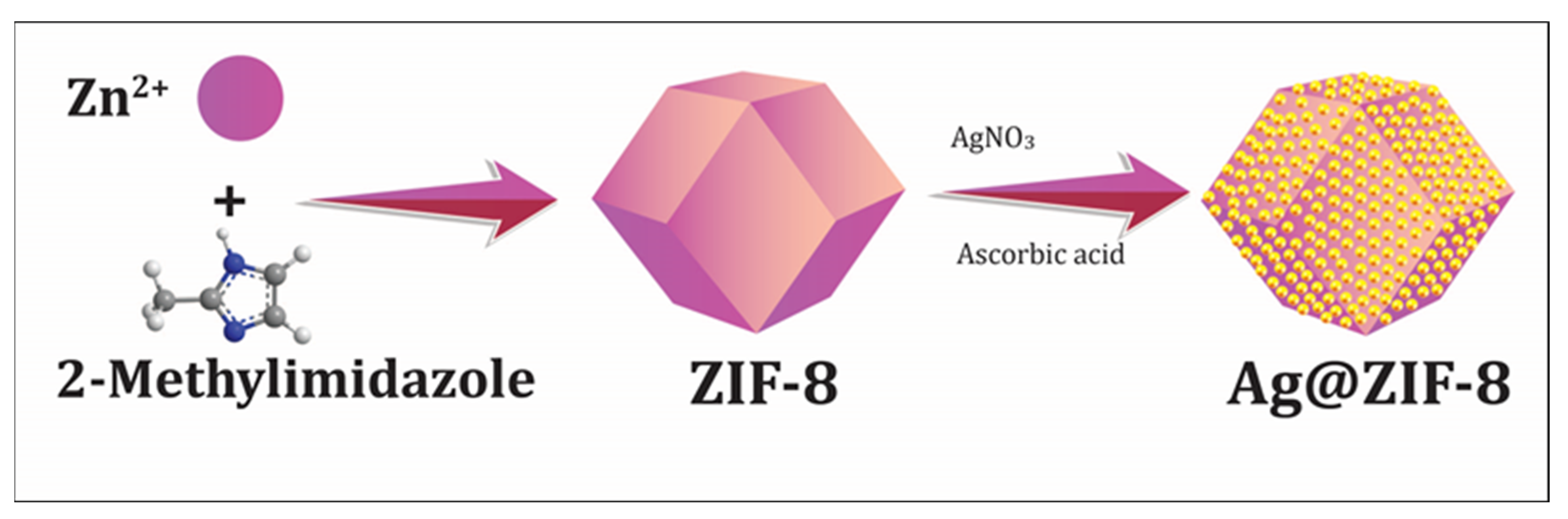 Catalysts 13 00867 g007
