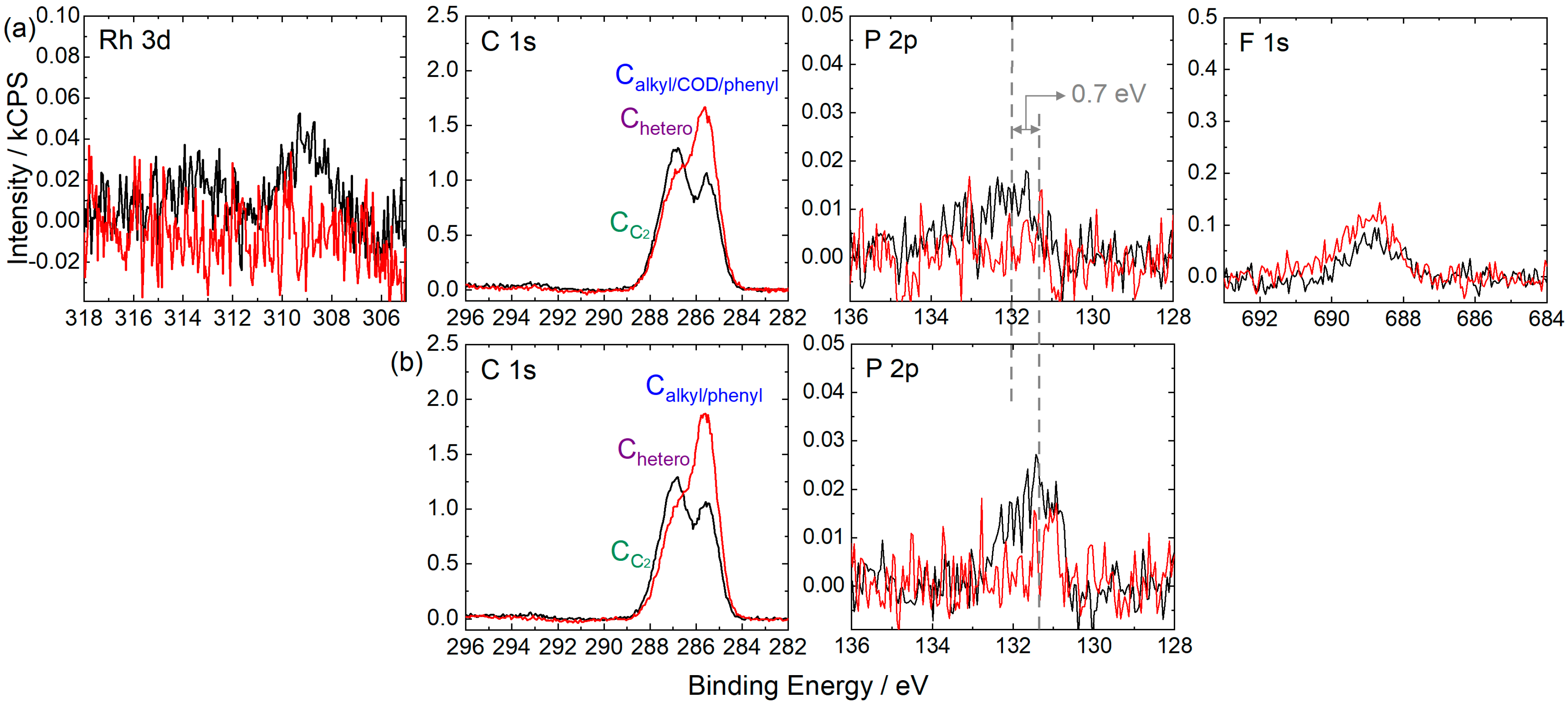 Catalysts 13 00871 g005