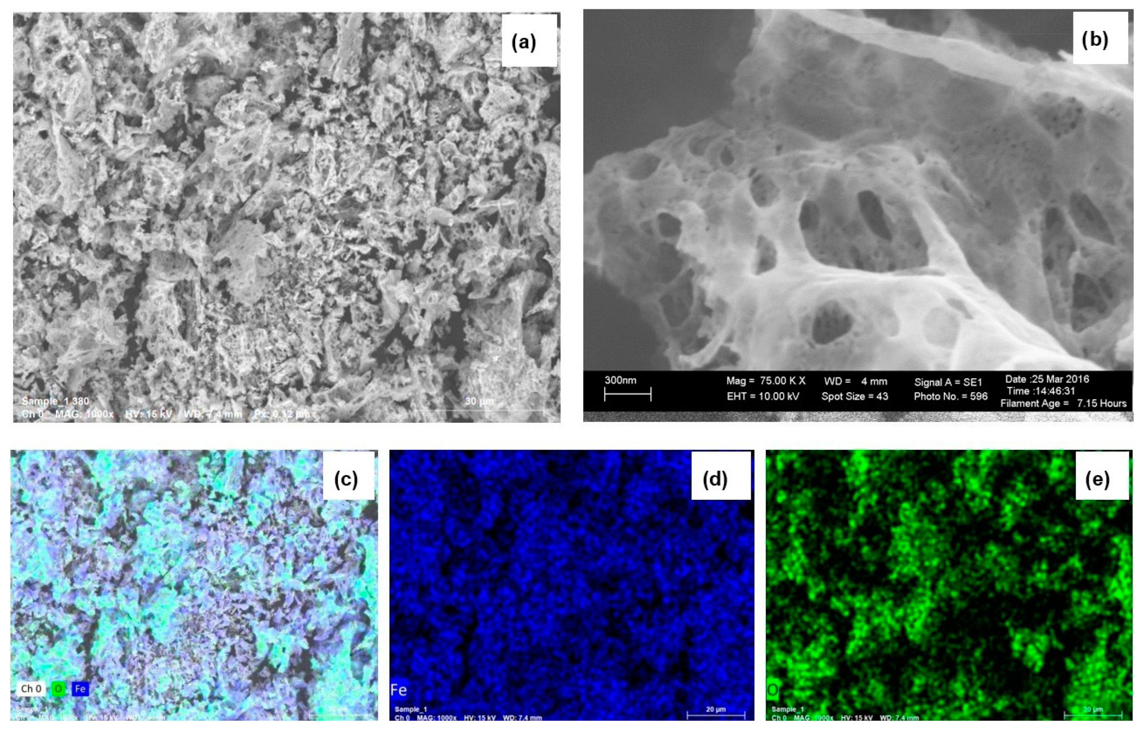 Catalysts 13 00872 g001