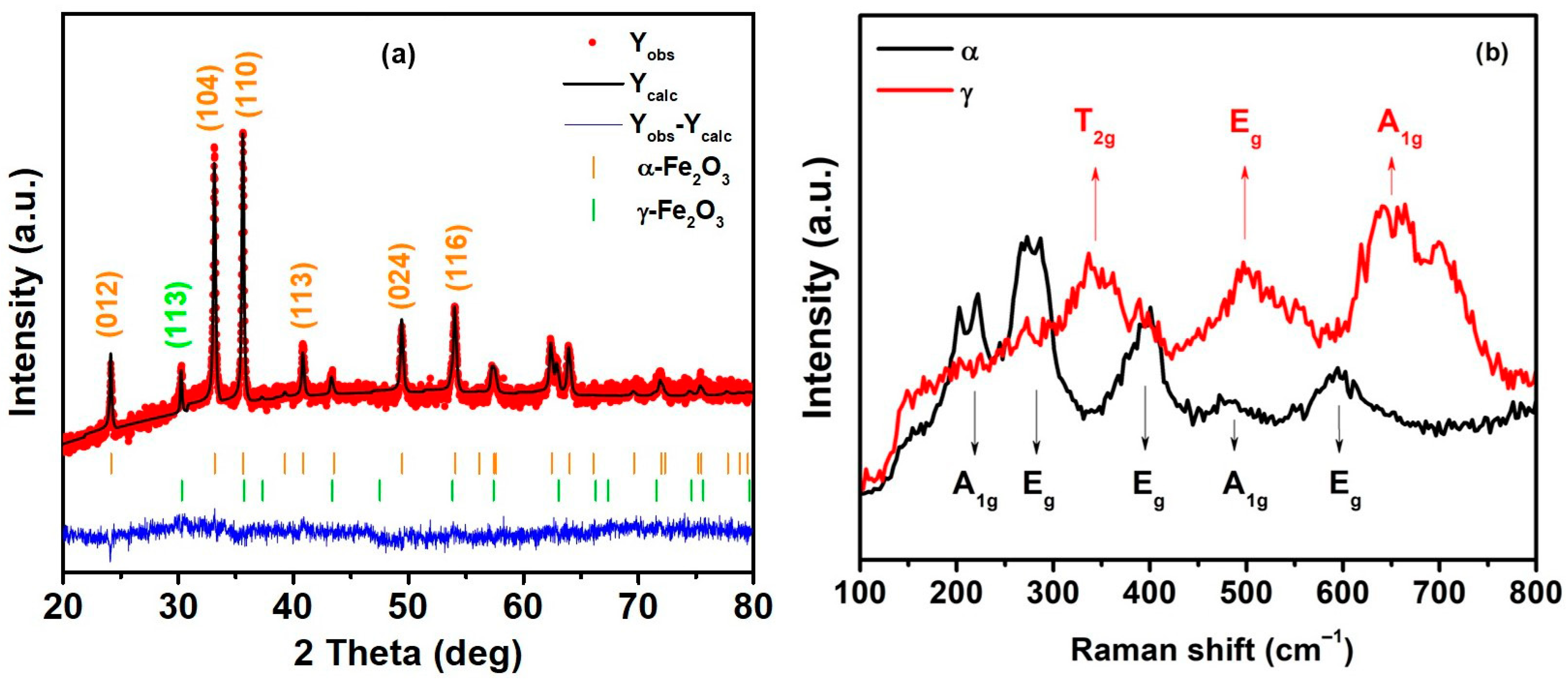 Catalysts 13 00872 g002