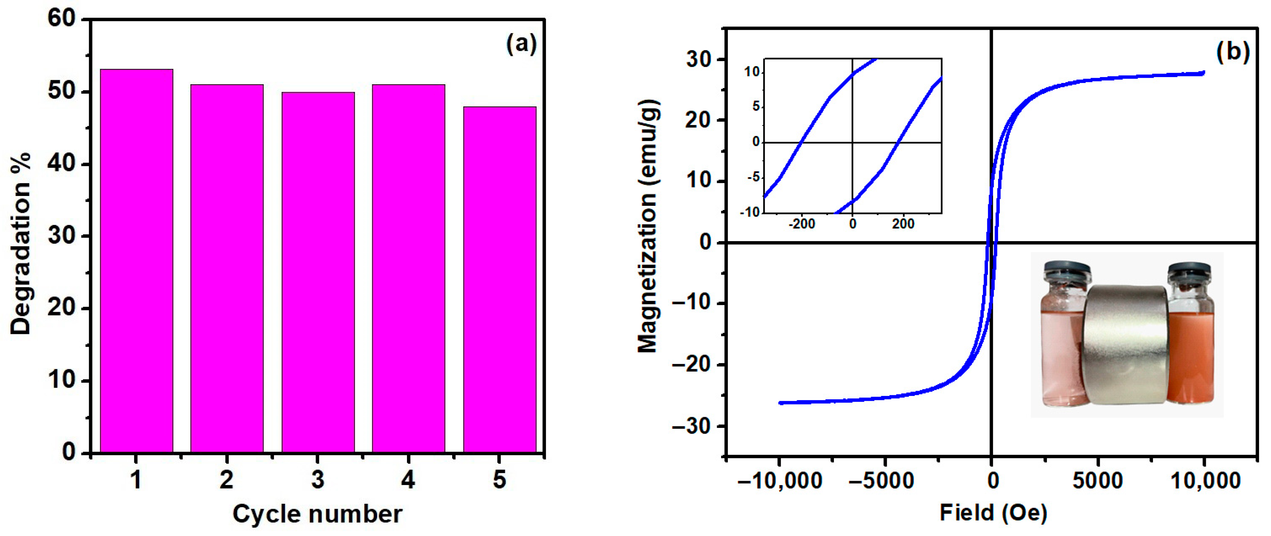 Catalysts 13 00872 g005
