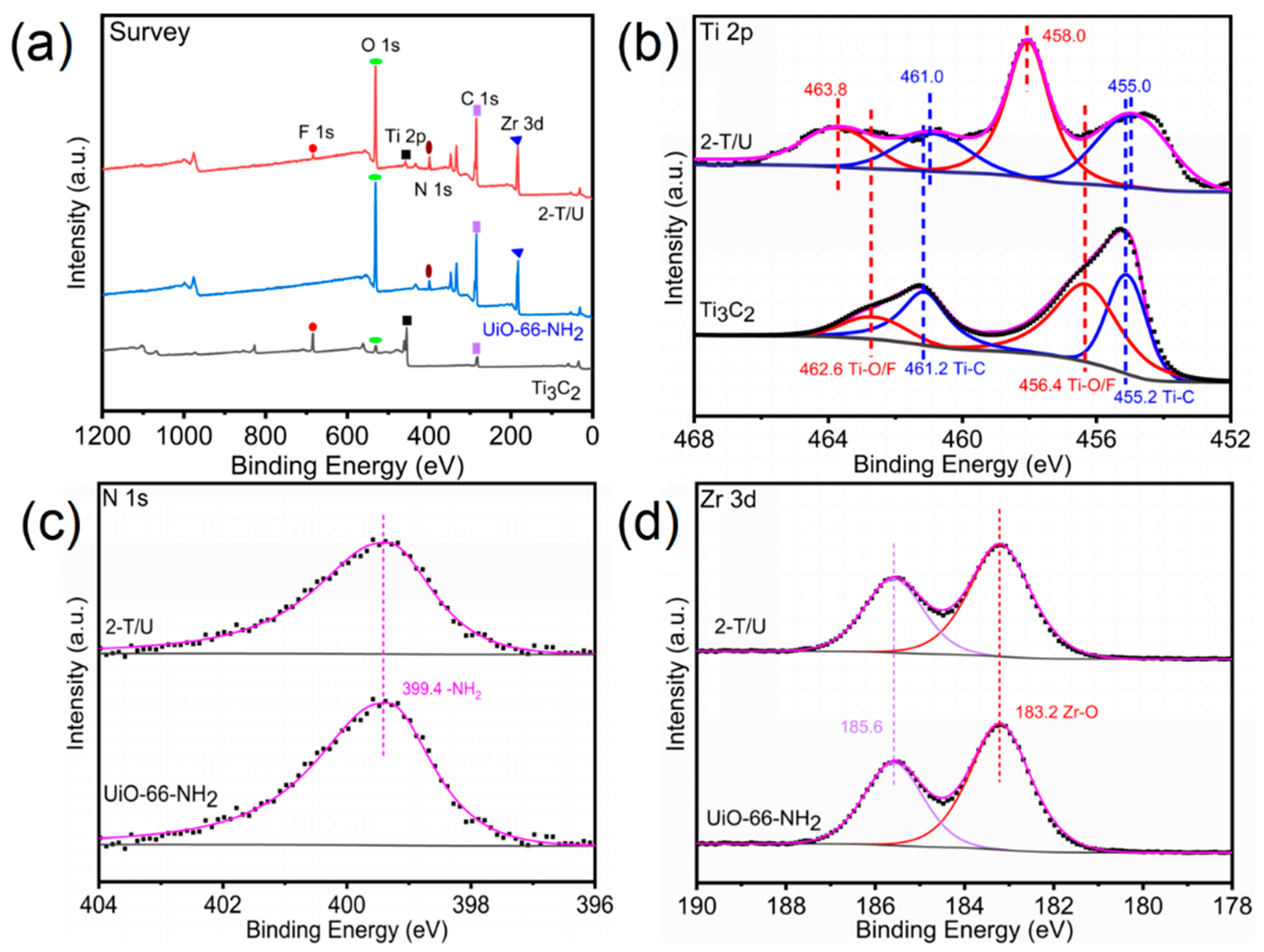 Catalysts 13 00876 g003