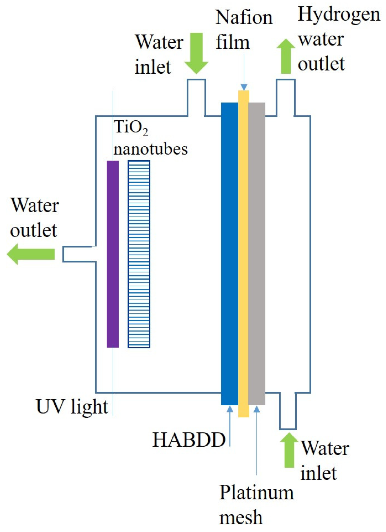 Catalysts 13 00877 g001