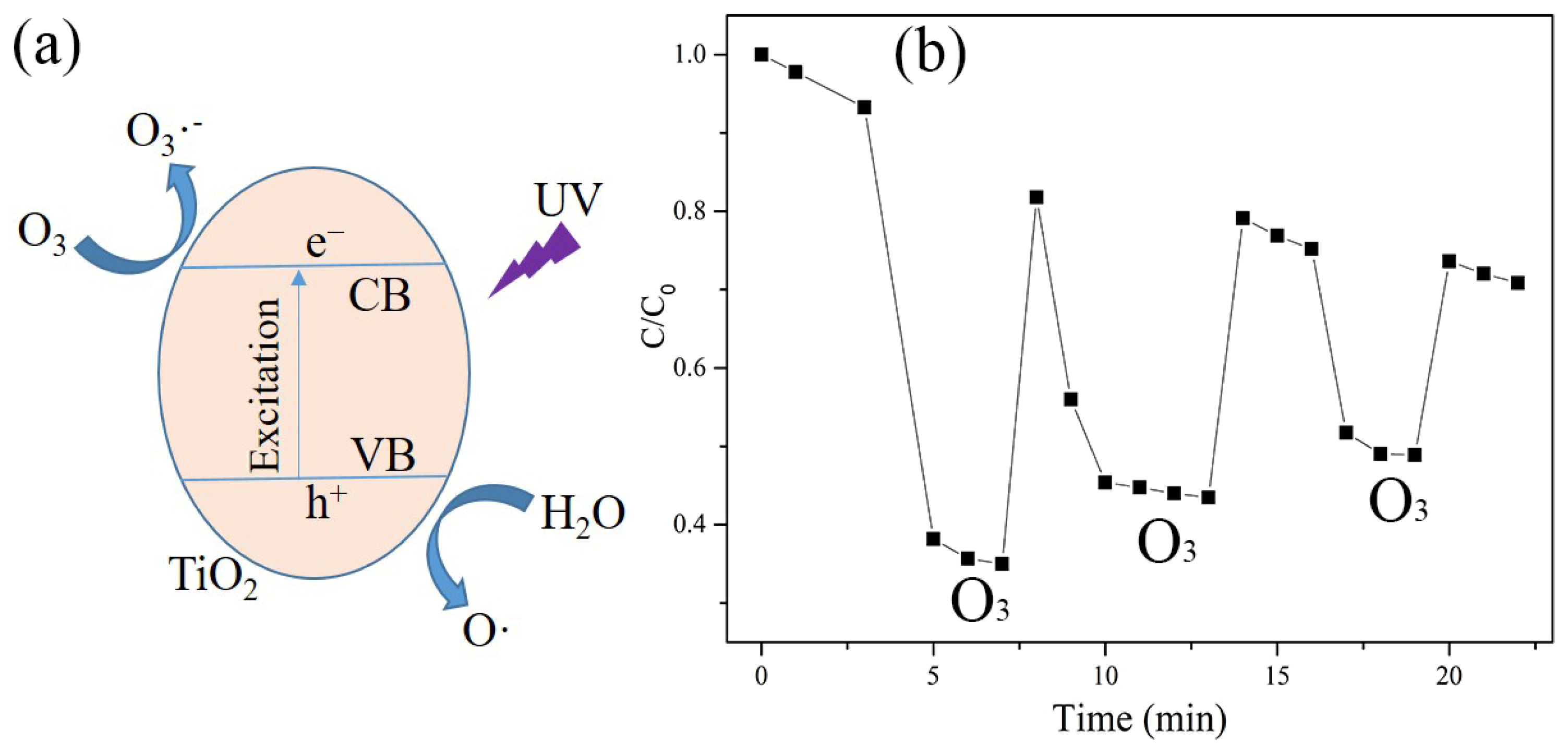 Catalysts 13 00877 g005