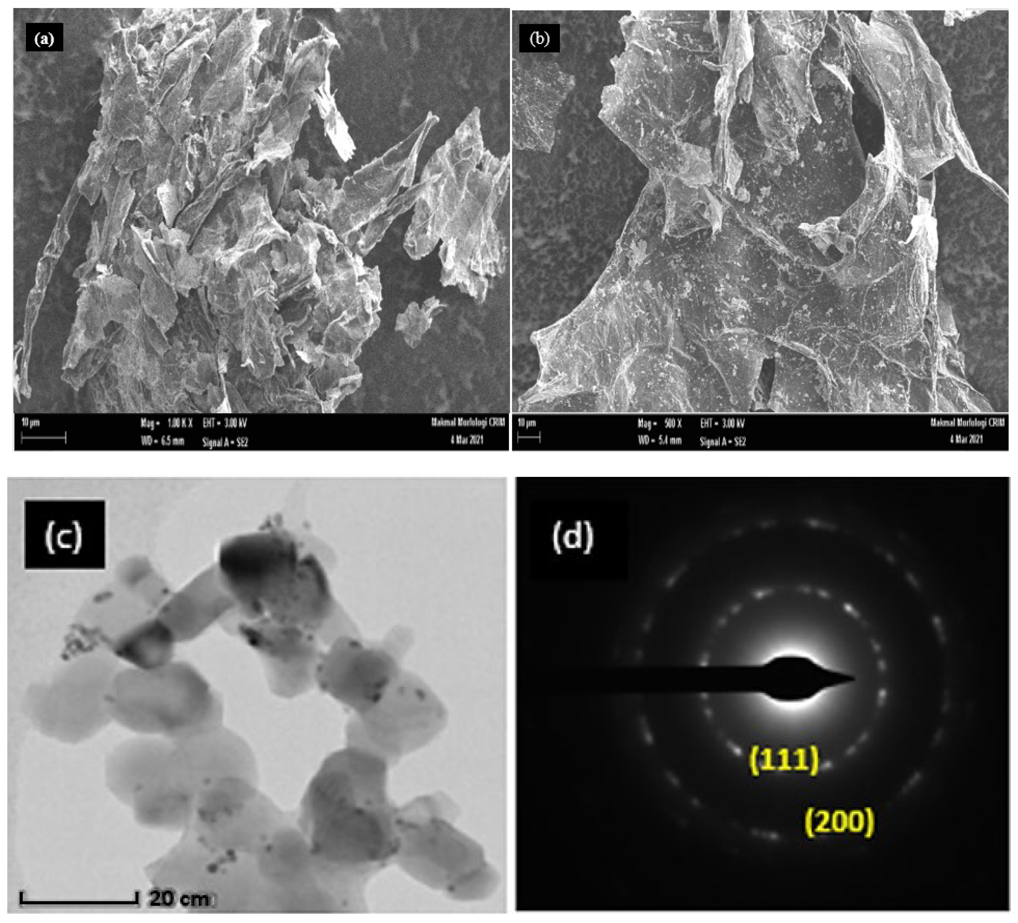 Catalysts 13 00879 g002a