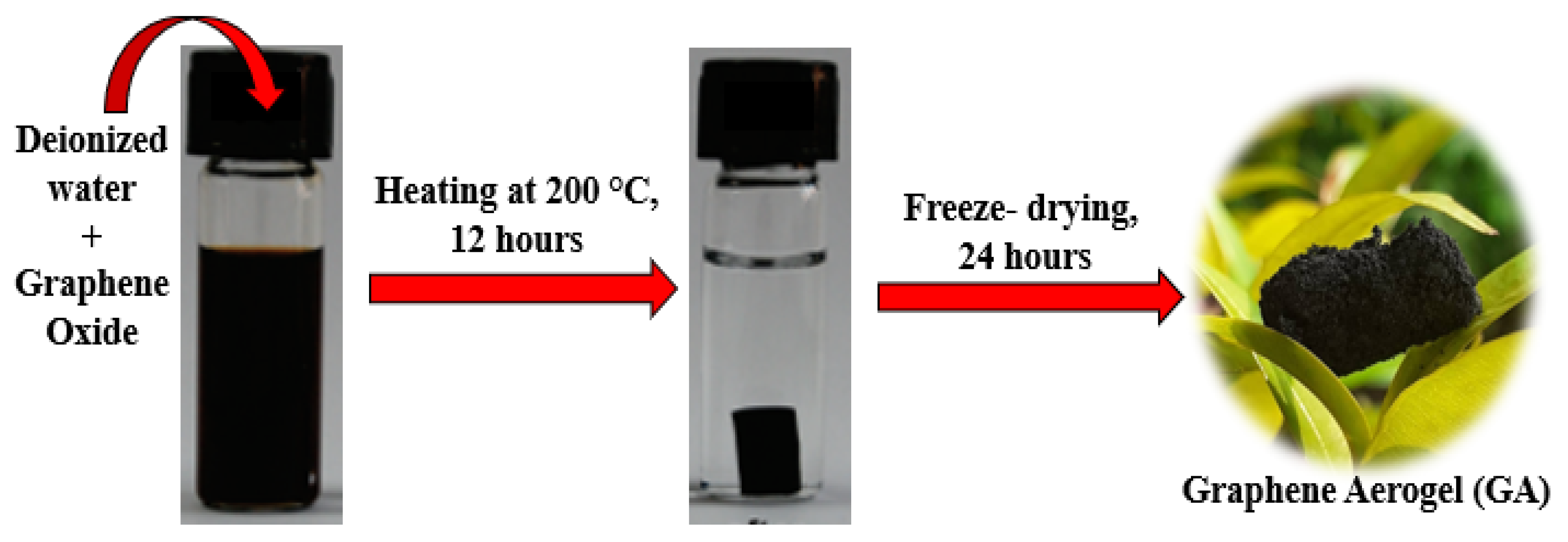 Catalysts 13 00879 g005