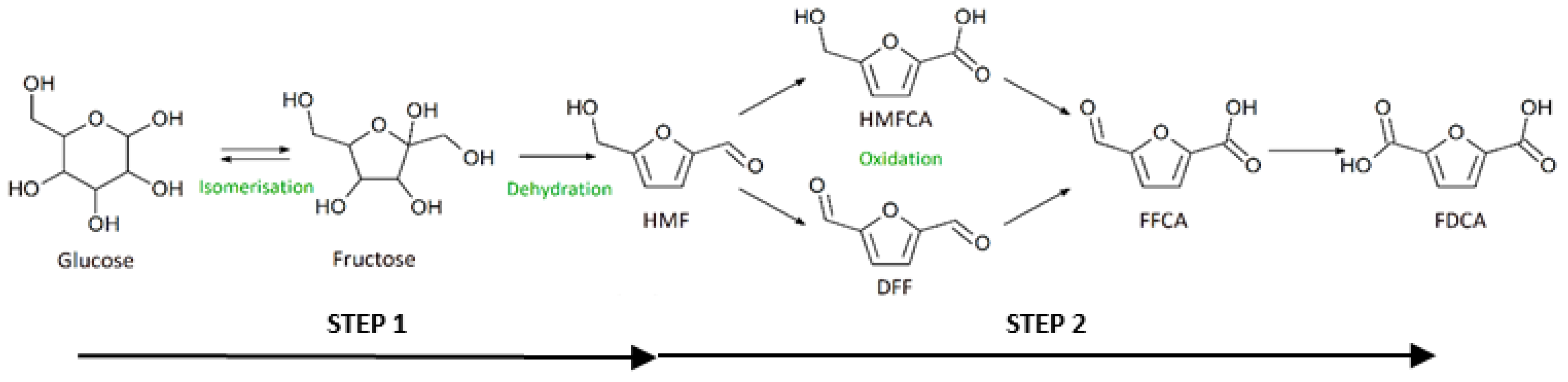Catalysts 13 00880 g002