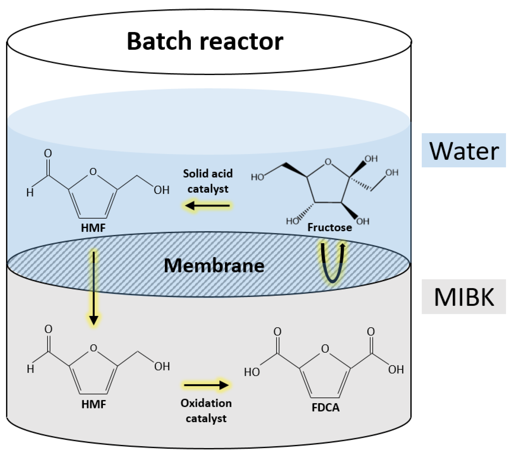 Catalysts 13 00880 g003