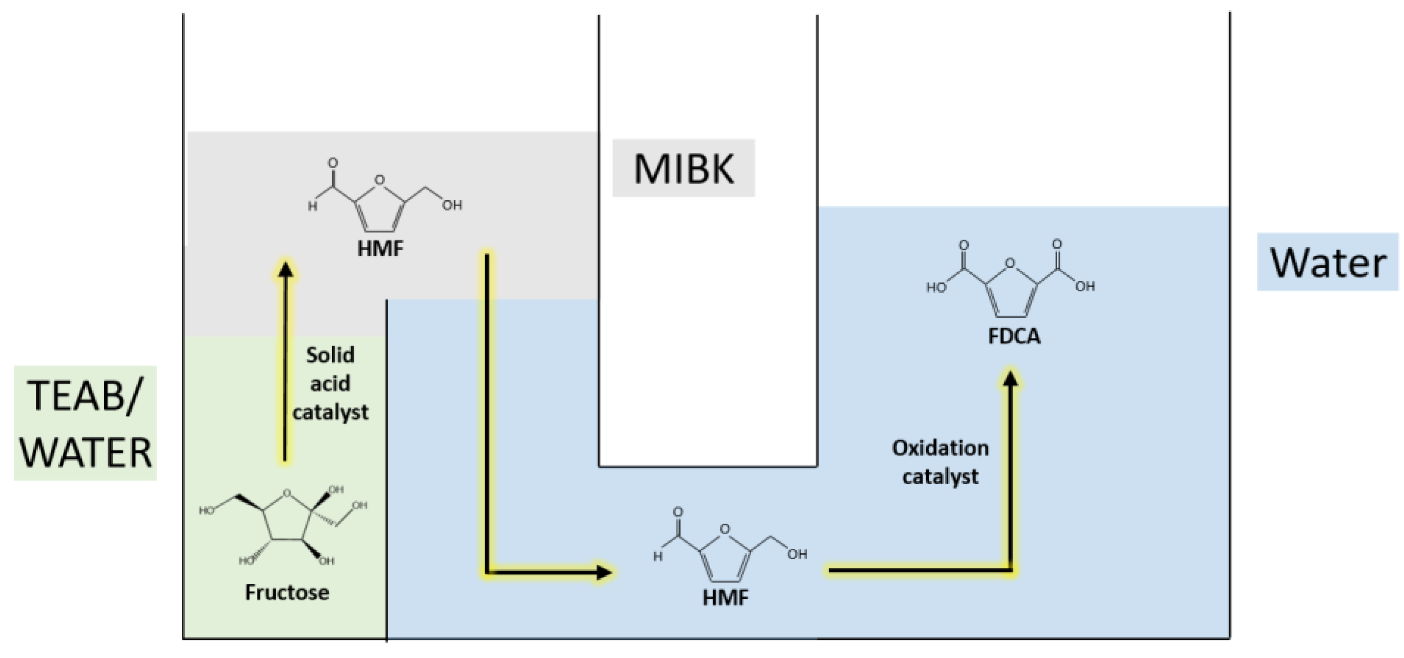 Catalysts 13 00880 g004