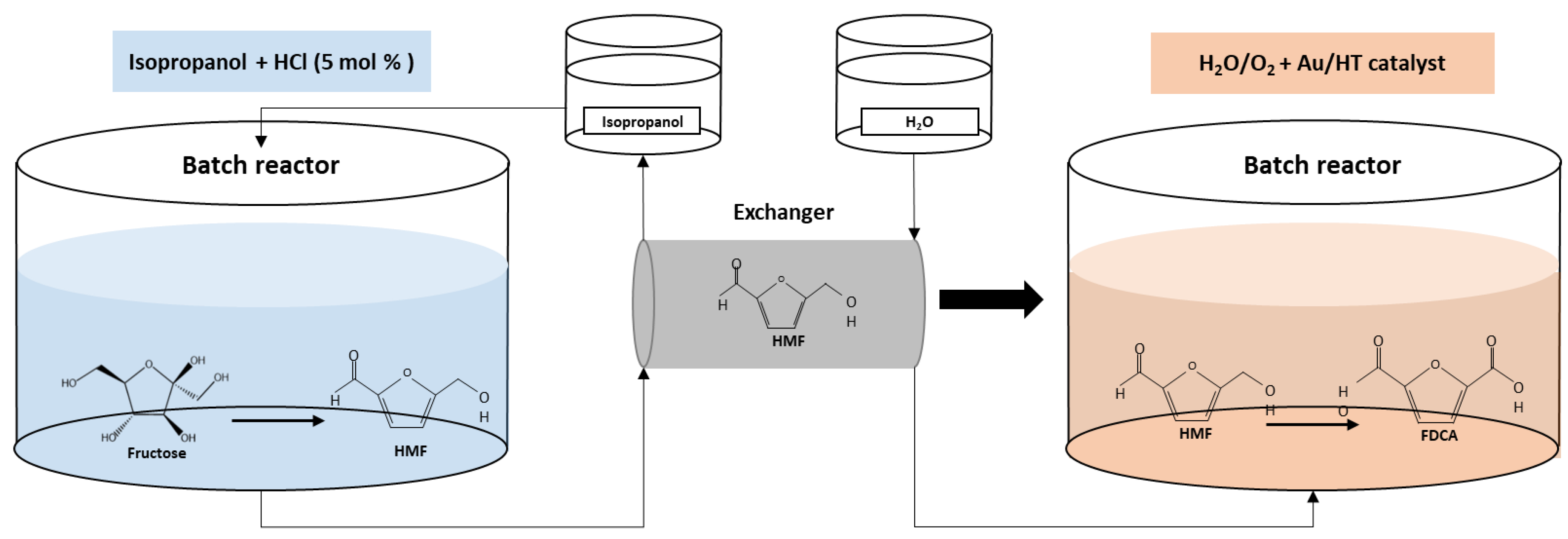 Catalysts 13 00880 g005