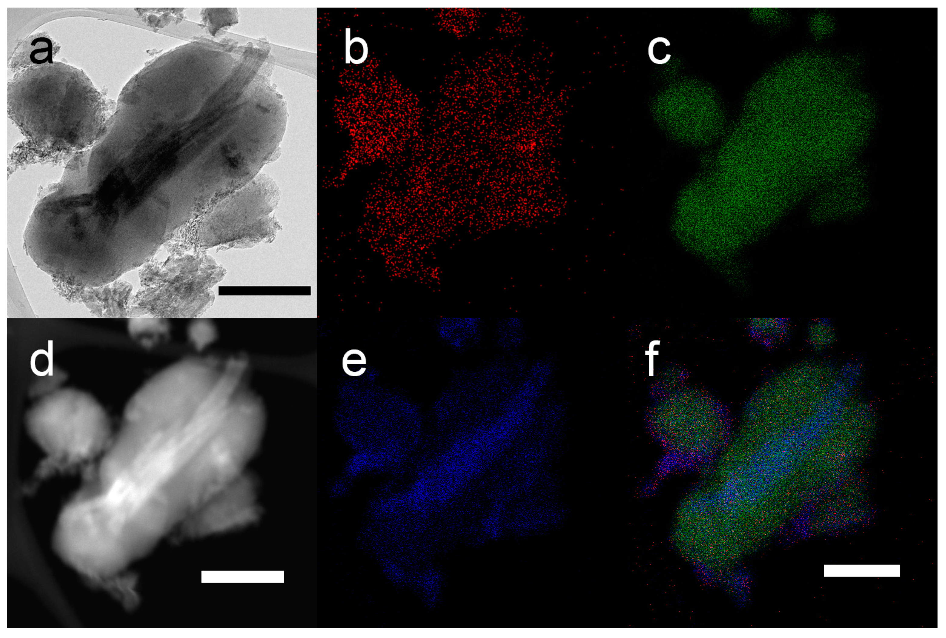 Catalysts 13 00882 g005