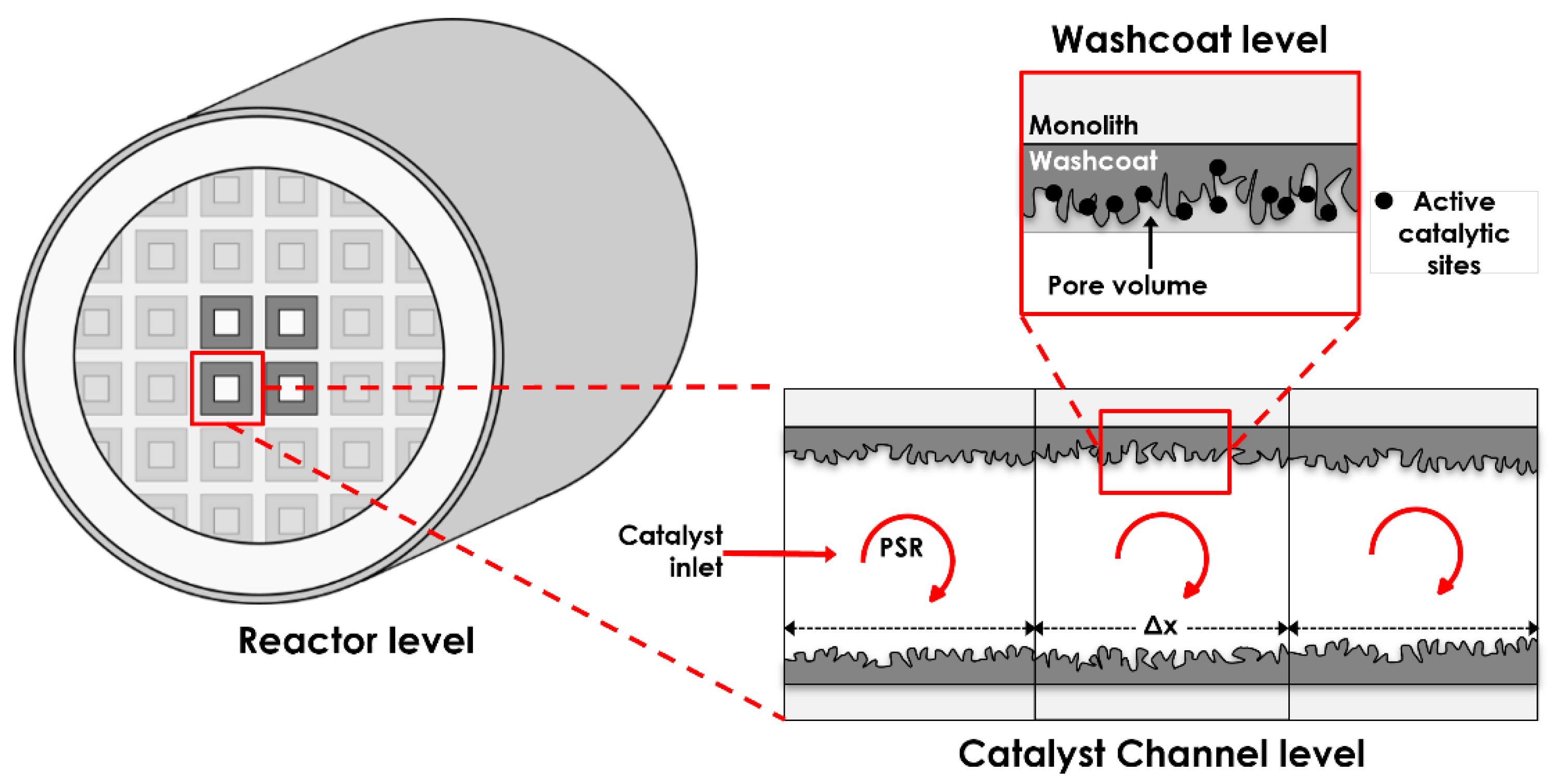 Catalysts 13 00884 g001
